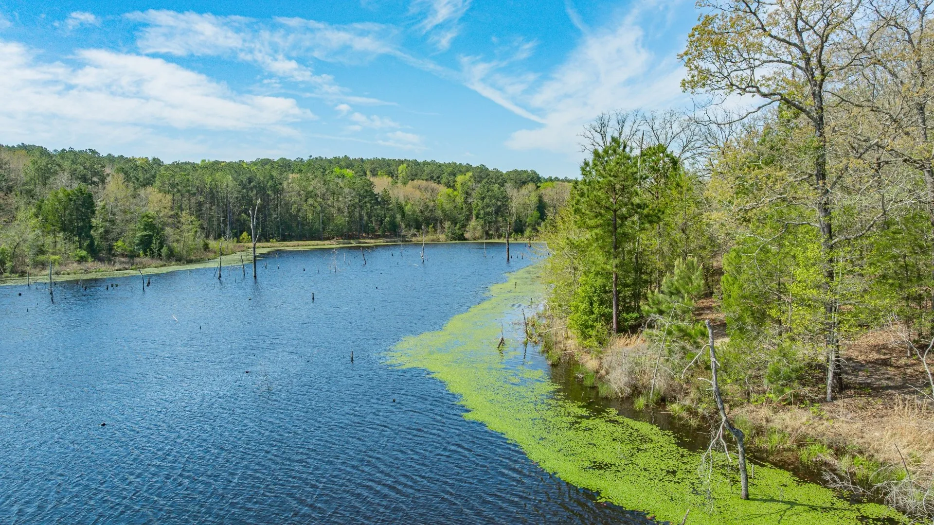 Improved Land For Sale in Cass County , 3400 CR 1240, Linden, Texas 75563, 0, 0, Garage spaces, 0 Sqft, built in 0, Price $7,900,000, mls#21290434, Real Estate Agent in Linden, Homes For Sale in Cass county, Homes For Sale in Linden, Realtor in Linden Texas, Real Estate Brokerage Independent Realty Texas, Luminita Cordes Realtor