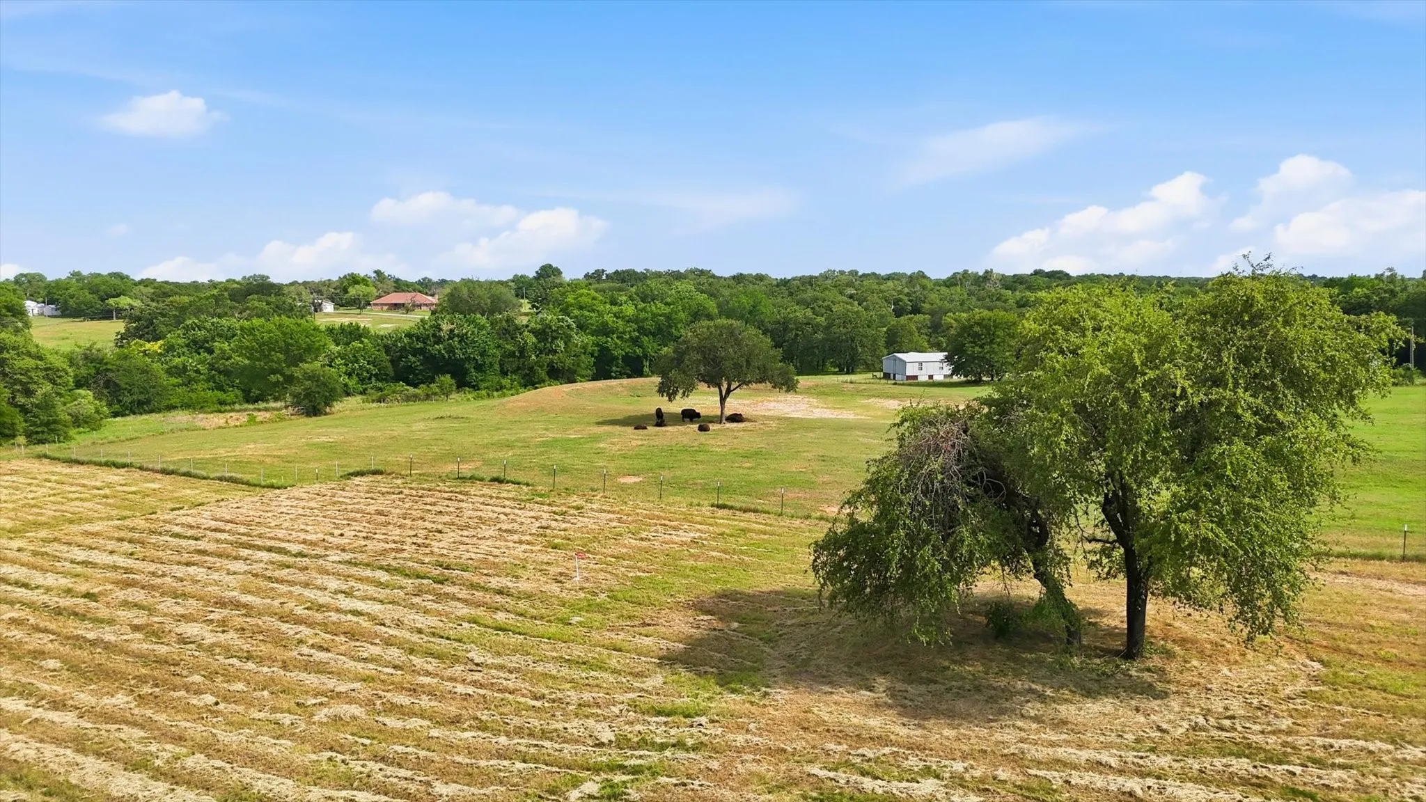 Improved Land For Sale in Wise County , 579 County Road 4599, Boyd, Texas 76023, 0, 0, Garage spaces, 0 Sqft, built in 2023, Price $449,999, mls#21290539, Real Estate Agent in Boyd, Homes For Sale in Wise county, Homes For Sale in Boyd, Realtor in Boyd Texas, Real Estate Brokerage Independent Realty Texas, Luminita Cordes Realtor