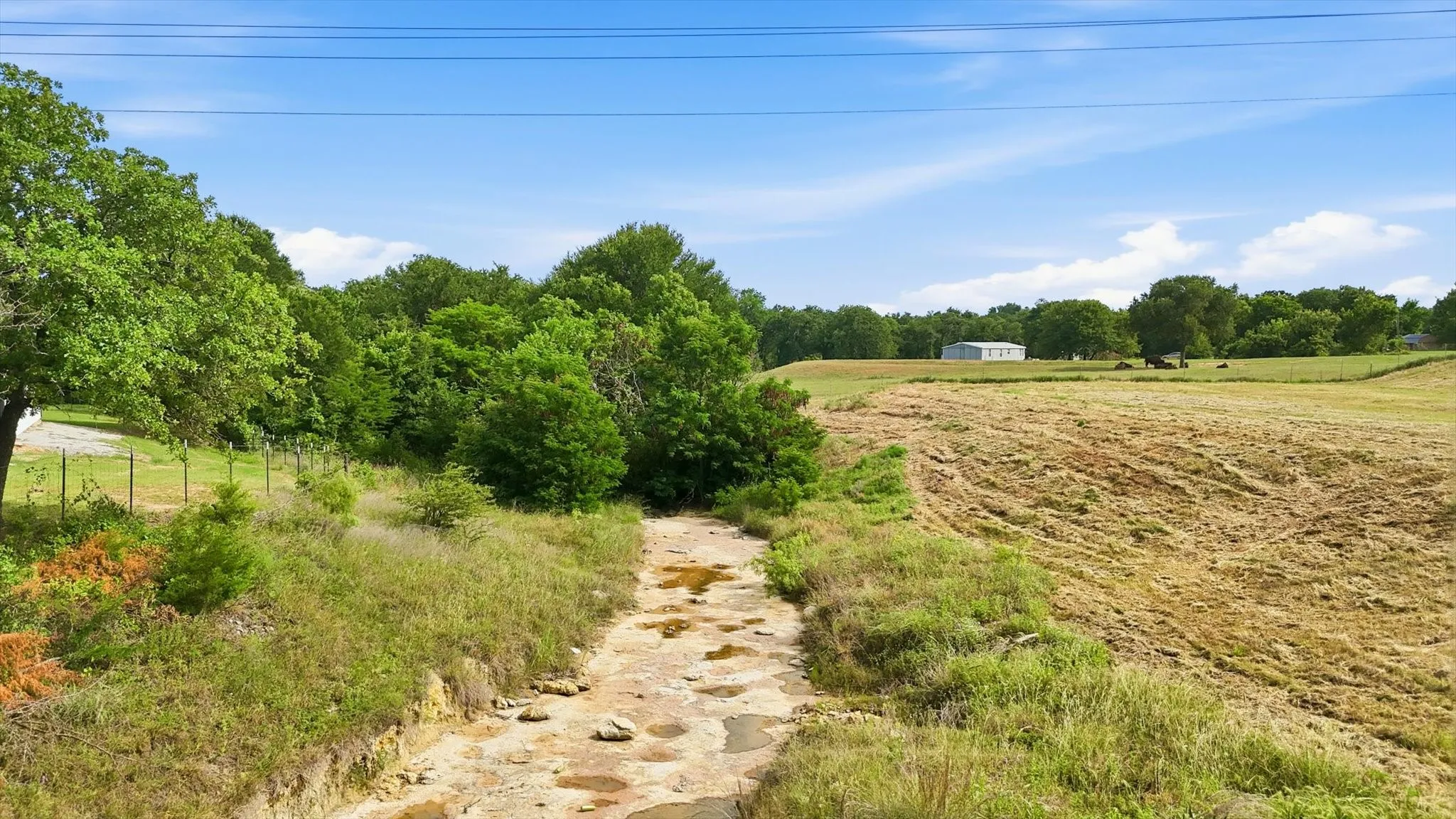 Improved Land For Sale in Wise County , 579 County Road 4599, Boyd, Texas 76023, 0, 0, Garage spaces, 0 Sqft, built in 2023, Price $449,999, mls#21290539, Real Estate Agent in Boyd, Homes For Sale in Wise county, Homes For Sale in Boyd, Realtor in Boyd Texas, Real Estate Brokerage Independent Realty Texas, Luminita Cordes Realtor