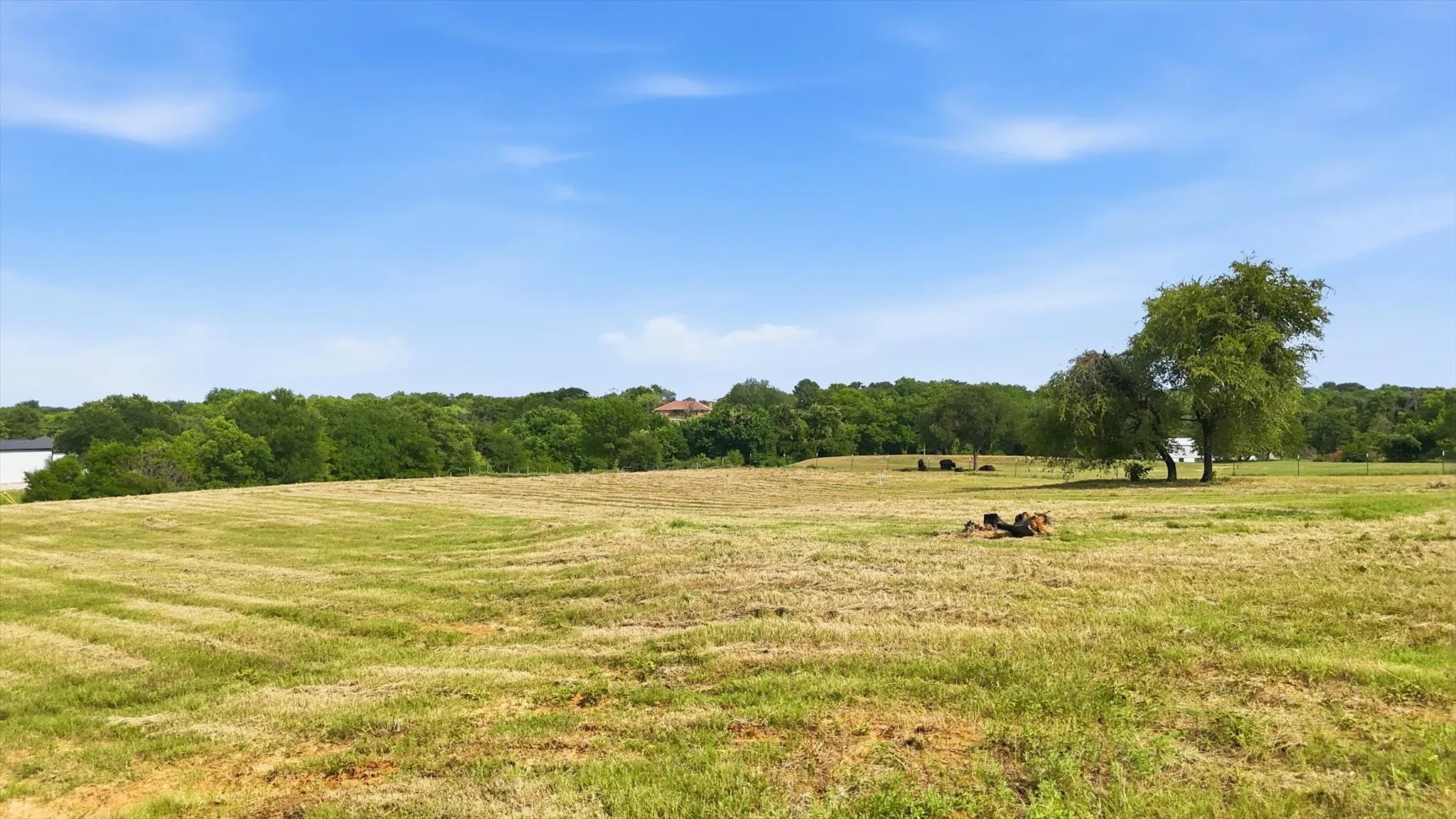 Improved Land For Sale in Wise County , 579 County Road 4599, Boyd, Texas 76023, 0, 0, Garage spaces, 0 Sqft, built in 2023, Price $449,999, mls#21290539, Real Estate Agent in Boyd, Homes For Sale in Wise county, Homes For Sale in Boyd, Realtor in Boyd Texas, Real Estate Brokerage Independent Realty Texas, Luminita Cordes Realtor