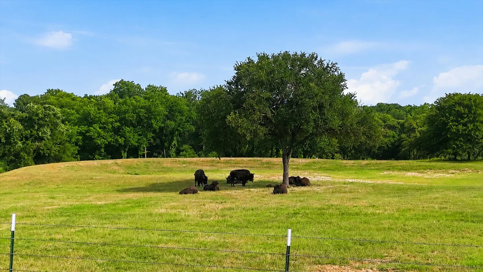 Improved Land For Sale in Wise County , 579 County Road 4599, Boyd, Texas 76023, 0, 0, Garage spaces, 0 Sqft, built in 2023, Price $449,999, mls#21290539, Real Estate Agent in Boyd, Homes For Sale in Wise county, Homes For Sale in Boyd, Realtor in Boyd Texas, Real Estate Brokerage Independent Realty Texas, Luminita Cordes Realtor
