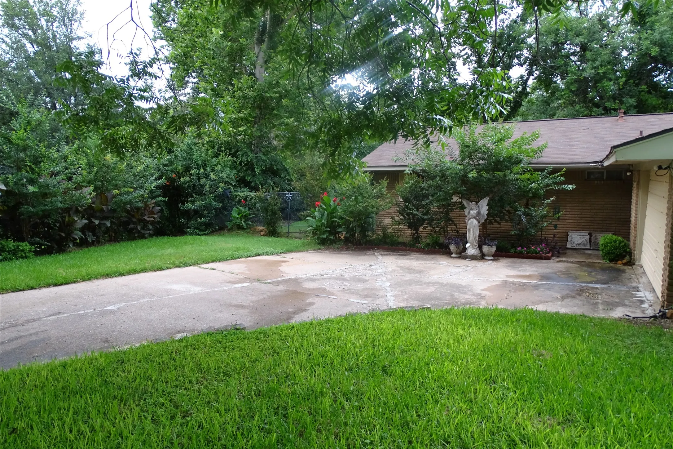 Front yard featuring a concrete driveway, a manicured lawn, and mature trees framing the property
