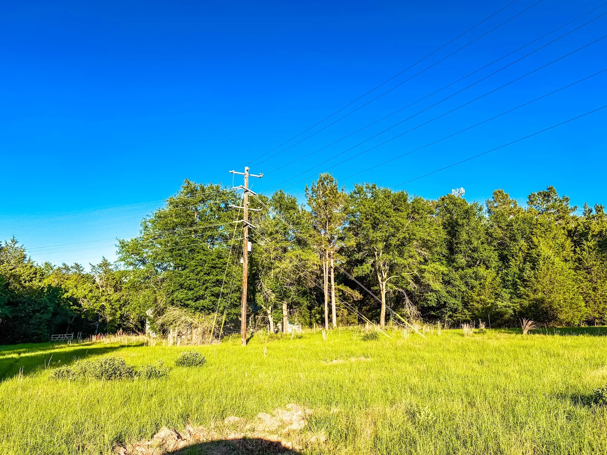 Ranch For Sale in Freestone County , 289 FCR 261, Oakwood, Texas 75855, 0, 0, Garage spaces, 0 Sqft, built in 0, Price $235,000, mls#21289860, Real Estate Agent in Oakwood, Homes For Sale in Freestone county, Homes For Sale in Oakwood, Realtor in Oakwood Texas, Real Estate Brokerage Independent Realty Texas, Luminita Cordes Realtor