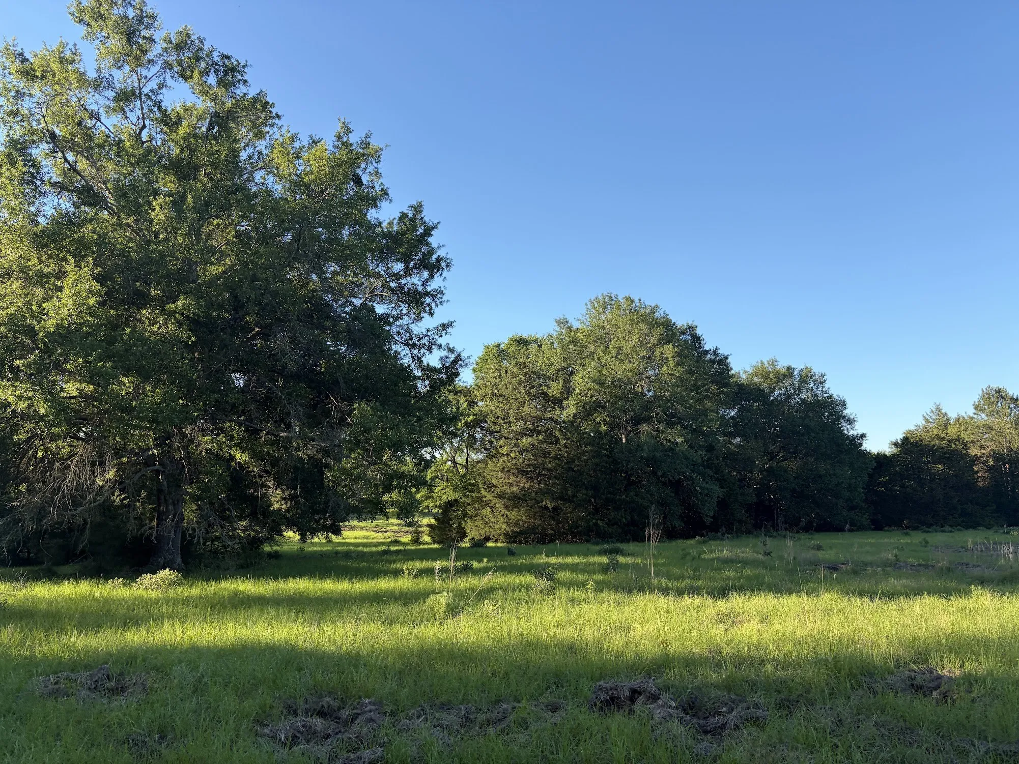 Ranch For Sale in Freestone County , 289 FCR 261, Oakwood, Texas 75855, 0, 0, Garage spaces, 0 Sqft, built in 0, Price $235,000, mls#21289860, Real Estate Agent in Oakwood, Homes For Sale in Freestone county, Homes For Sale in Oakwood, Realtor in Oakwood Texas, Real Estate Brokerage Independent Realty Texas, Luminita Cordes Realtor