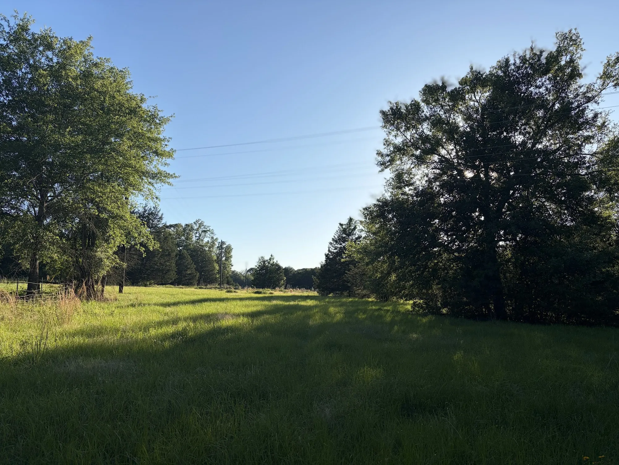 Ranch For Sale in Freestone County , 289 FCR 261, Oakwood, Texas 75855, 0, 0, Garage spaces, 0 Sqft, built in 0, Price $235,000, mls#21289860, Real Estate Agent in Oakwood, Homes For Sale in Freestone county, Homes For Sale in Oakwood, Realtor in Oakwood Texas, Real Estate Brokerage Independent Realty Texas, Luminita Cordes Realtor