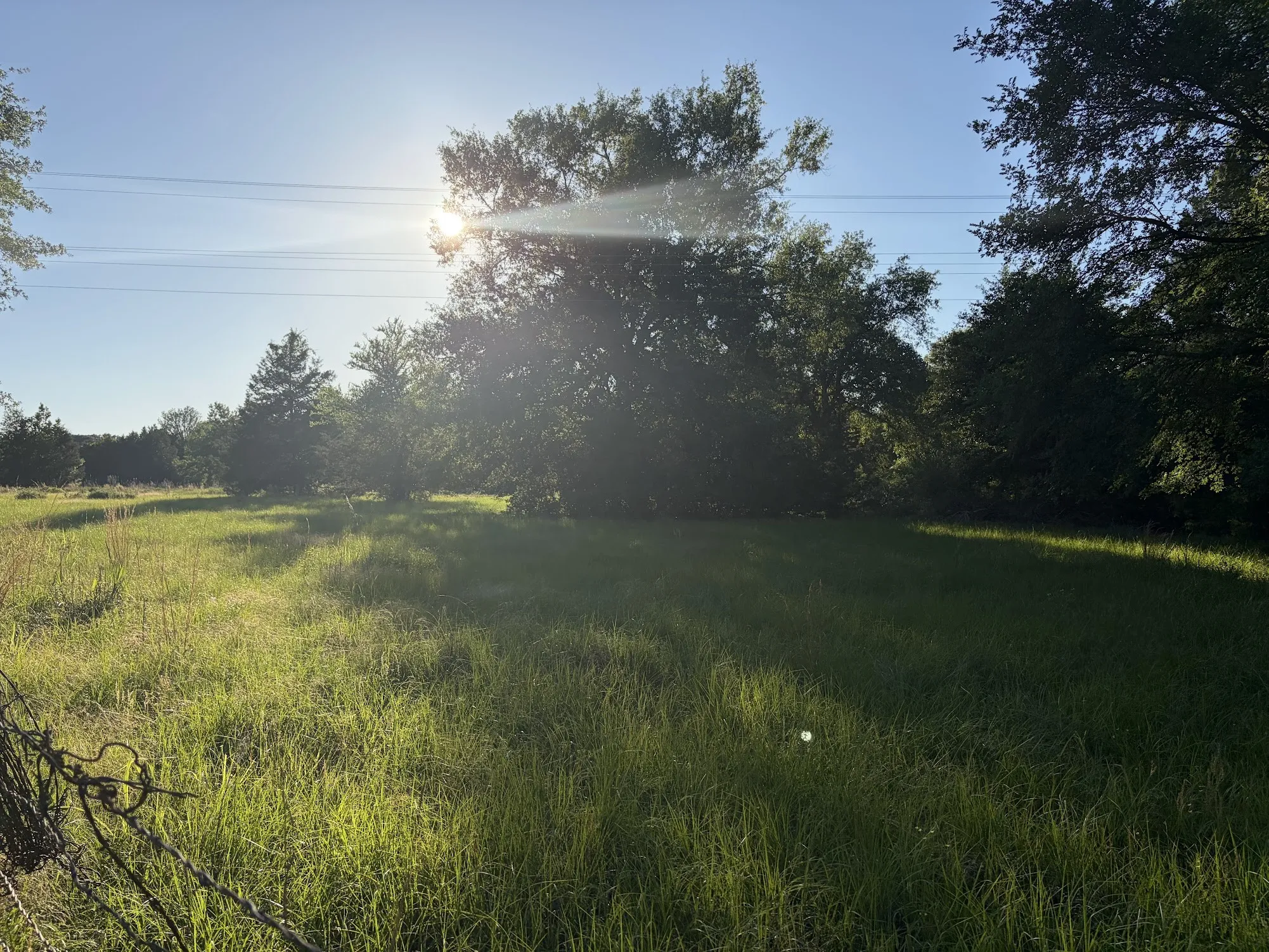 Ranch For Sale in Freestone County , 289 FCR 261, Oakwood, Texas 75855, 0, 0, Garage spaces, 0 Sqft, built in 0, Price $235,000, mls#21289860, Real Estate Agent in Oakwood, Homes For Sale in Freestone county, Homes For Sale in Oakwood, Realtor in Oakwood Texas, Real Estate Brokerage Independent Realty Texas, Luminita Cordes Realtor