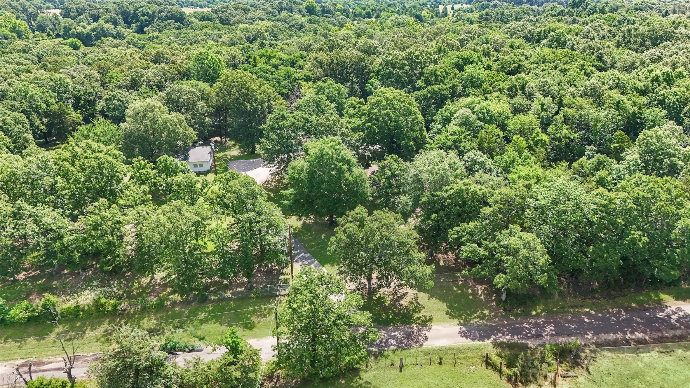 Expansive treed landscape featuring a single-story white residence, a paved driveway, and lush green foliage