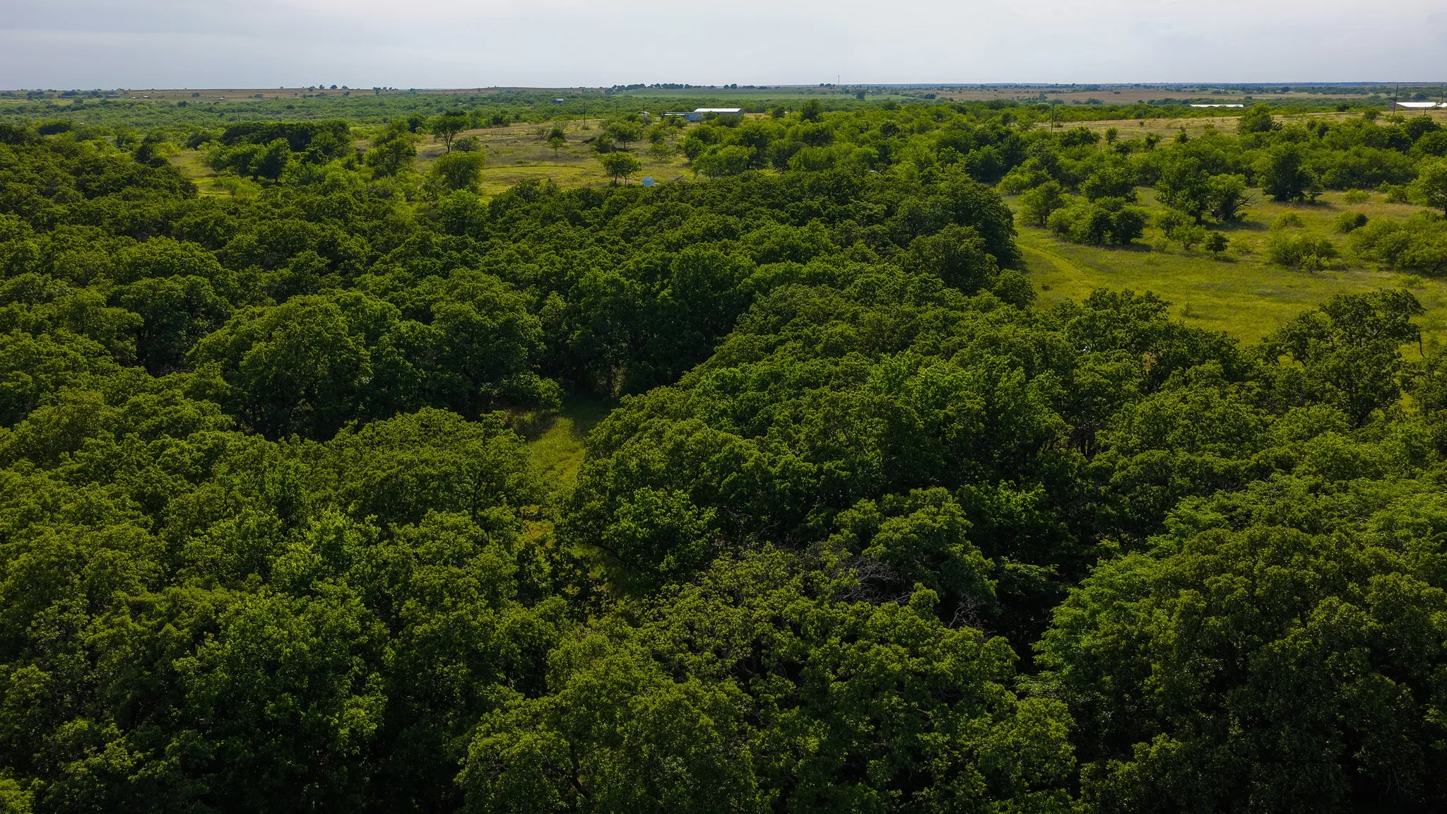 Ranch For Sale in Montague County , 3641 Carpenter Road, Nocona, Texas 76255, 0, 0, Garage spaces, 0 Sqft, built in 2008, Price $749,000, mls#21289257, Real Estate Agent in Nocona, Homes For Sale in Montague county, Homes For Sale in Nocona, Realtor in Nocona Texas, Real Estate Brokerage Independent Realty Texas, Luminita Cordes Realtor
