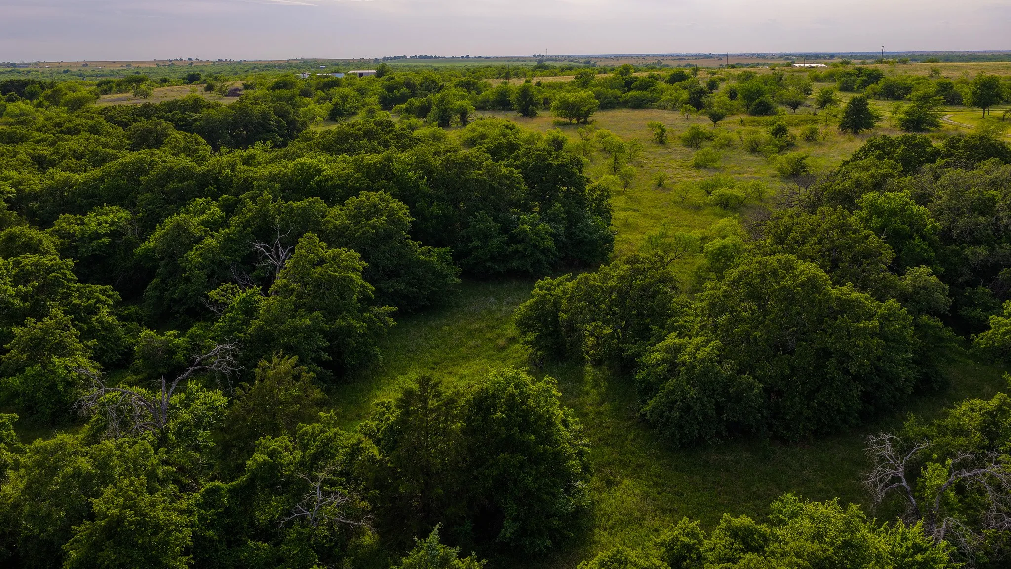Ranch For Sale in Montague County , 3641 Carpenter Road, Nocona, Texas 76255, 0, 0, Garage spaces, 0 Sqft, built in 2008, Price $749,000, mls#21289257, Real Estate Agent in Nocona, Homes For Sale in Montague county, Homes For Sale in Nocona, Realtor in Nocona Texas, Real Estate Brokerage Independent Realty Texas, Luminita Cordes Realtor