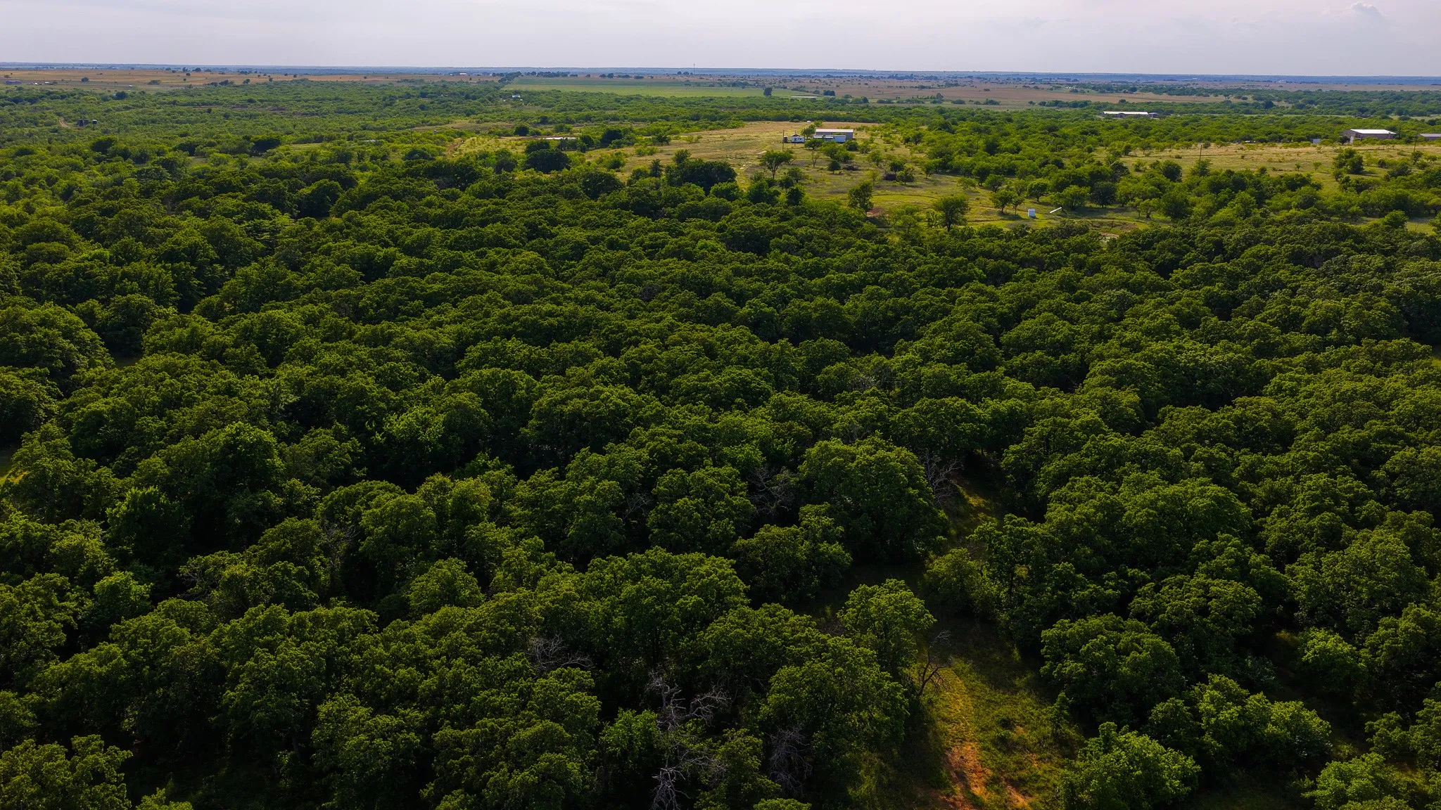 Ranch For Sale in Montague County , 3641 Carpenter Road, Nocona, Texas 76255, 0, 0, Garage spaces, 0 Sqft, built in 2008, Price $749,000, mls#21289257, Real Estate Agent in Nocona, Homes For Sale in Montague county, Homes For Sale in Nocona, Realtor in Nocona Texas, Real Estate Brokerage Independent Realty Texas, Luminita Cordes Realtor