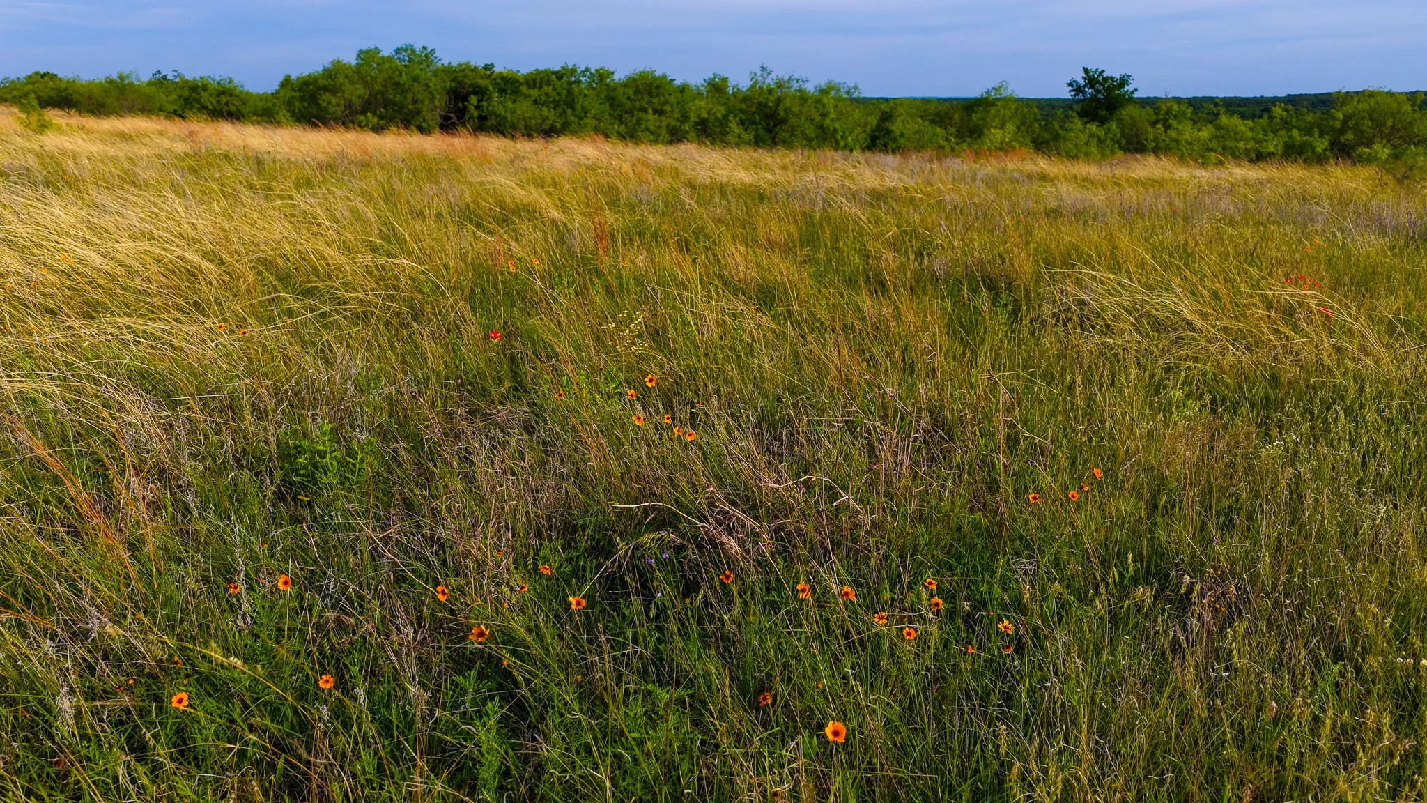 Ranch For Sale in Montague County , 3641 Carpenter Road, Nocona, Texas 76255, 0, 0, Garage spaces, 0 Sqft, built in 2008, Price $749,000, mls#21289257, Real Estate Agent in Nocona, Homes For Sale in Montague county, Homes For Sale in Nocona, Realtor in Nocona Texas, Real Estate Brokerage Independent Realty Texas, Luminita Cordes Realtor