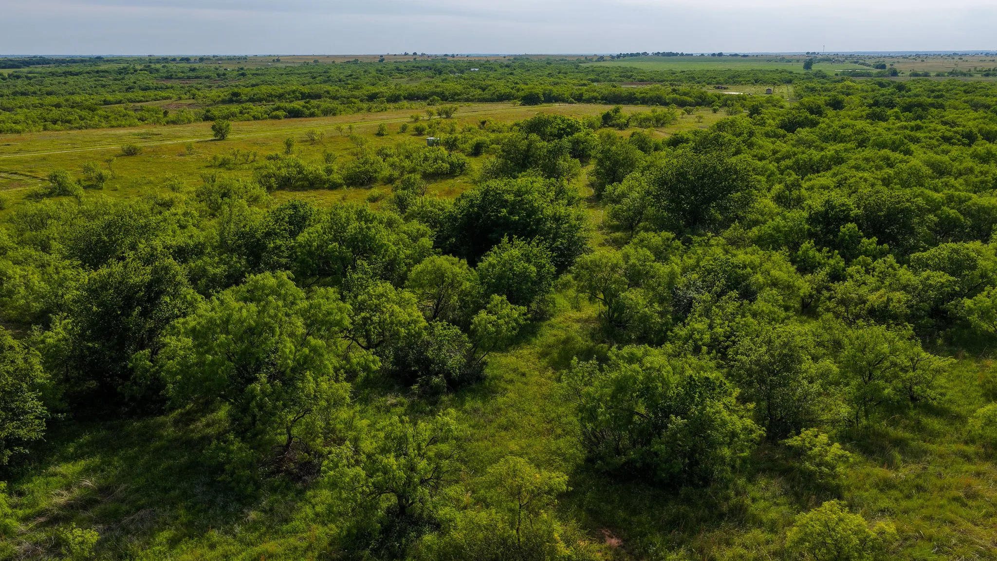 Ranch For Sale in Montague County , 3641 Carpenter Road, Nocona, Texas 76255, 0, 0, Garage spaces, 0 Sqft, built in 2008, Price $749,000, mls#21289257, Real Estate Agent in Nocona, Homes For Sale in Montague county, Homes For Sale in Nocona, Realtor in Nocona Texas, Real Estate Brokerage Independent Realty Texas, Luminita Cordes Realtor