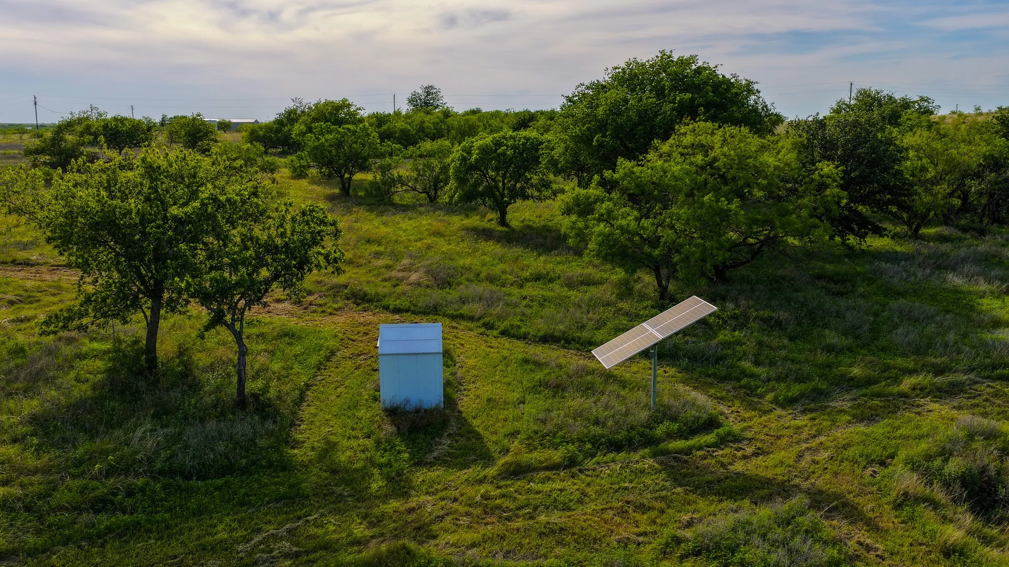 Ranch For Sale in Montague County , 3641 Carpenter Road, Nocona, Texas 76255, 0, 0, Garage spaces, 0 Sqft, built in 2008, Price $749,000, mls#21289257, Real Estate Agent in Nocona, Homes For Sale in Montague county, Homes For Sale in Nocona, Realtor in Nocona Texas, Real Estate Brokerage Independent Realty Texas, Luminita Cordes Realtor