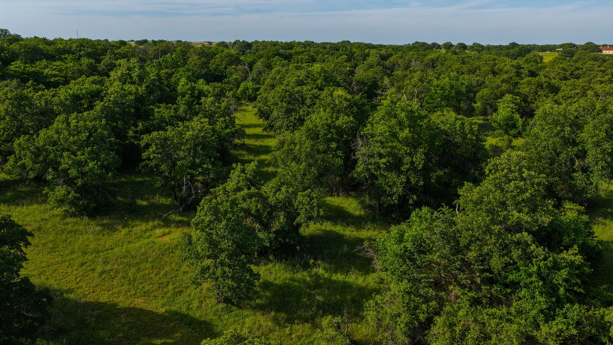 Ranch For Sale in Montague County , 3641 Carpenter Road, Nocona, Texas 76255, 0, 0, Garage spaces, 0 Sqft, built in 2008, Price $749,000, mls#21289257, Real Estate Agent in Nocona, Homes For Sale in Montague county, Homes For Sale in Nocona, Realtor in Nocona Texas, Real Estate Brokerage Independent Realty Texas, Luminita Cordes Realtor