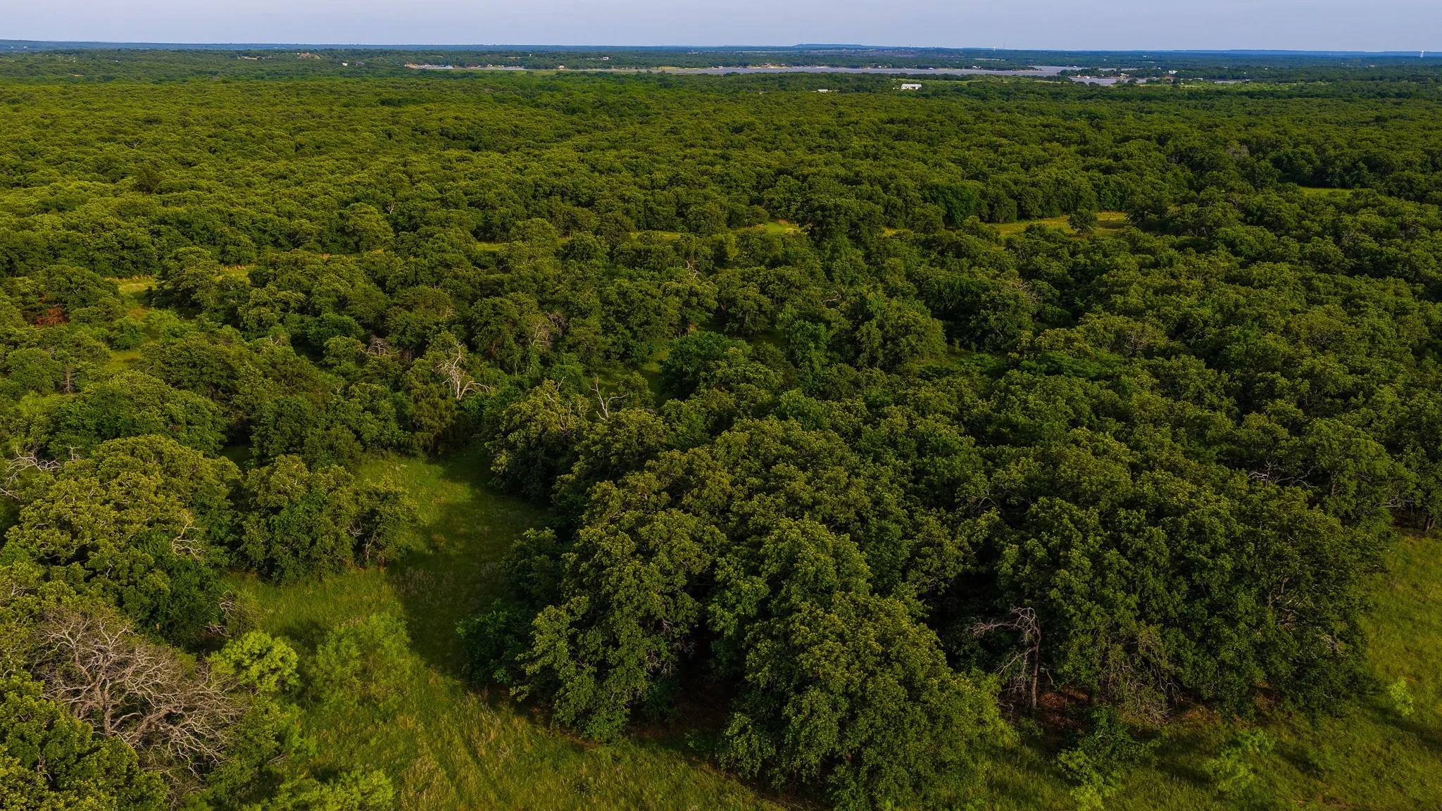 Ranch For Sale in Montague County , 3641 Carpenter Road, Nocona, Texas 76255, 0, 0, Garage spaces, 0 Sqft, built in 2008, Price $749,000, mls#21289257, Real Estate Agent in Nocona, Homes For Sale in Montague county, Homes For Sale in Nocona, Realtor in Nocona Texas, Real Estate Brokerage Independent Realty Texas, Luminita Cordes Realtor