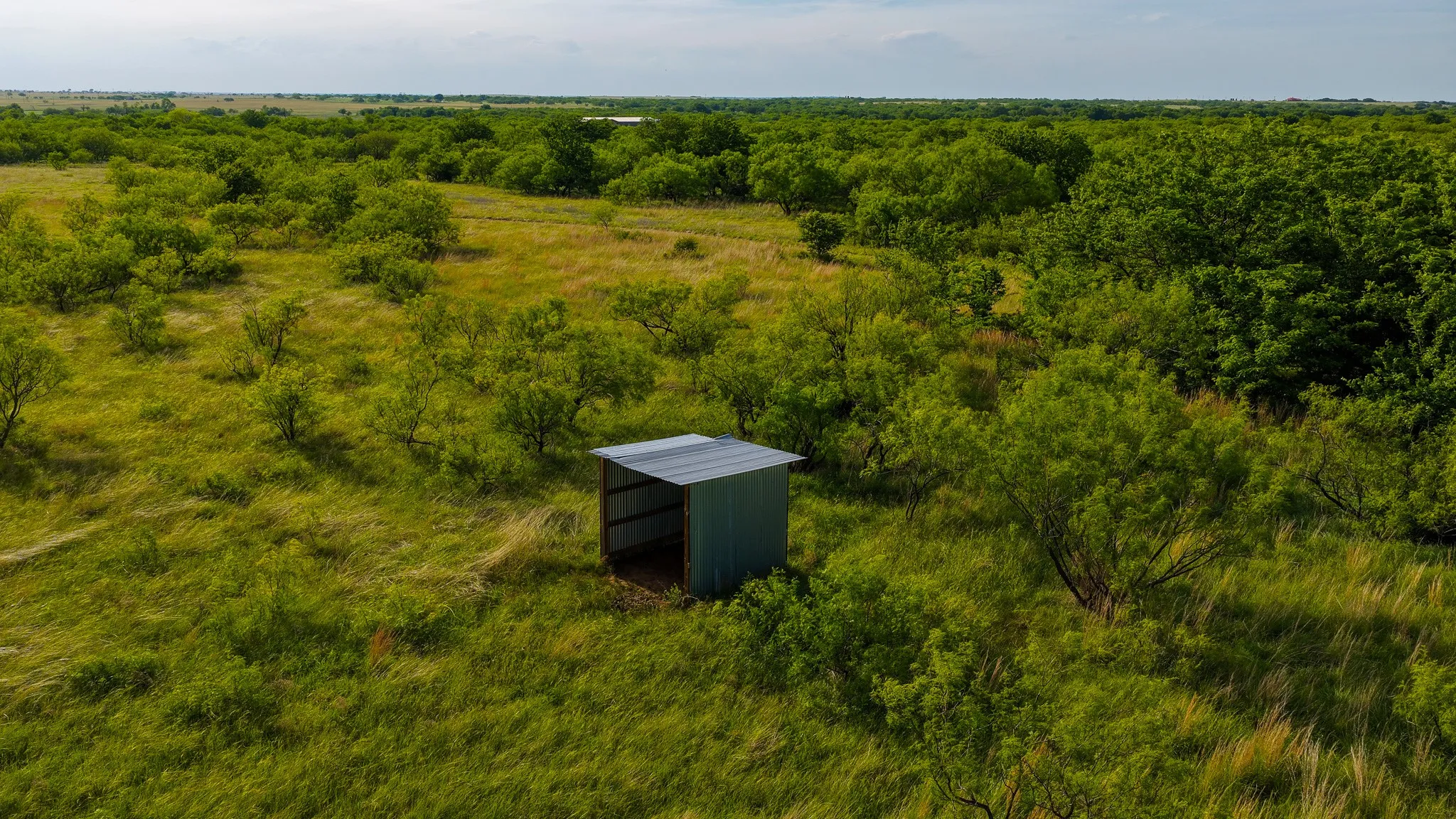 Ranch For Sale in Montague County , 3641 Carpenter Road, Nocona, Texas 76255, 0, 0, Garage spaces, 0 Sqft, built in 2008, Price $749,000, mls#21289257, Real Estate Agent in Nocona, Homes For Sale in Montague county, Homes For Sale in Nocona, Realtor in Nocona Texas, Real Estate Brokerage Independent Realty Texas, Luminita Cordes Realtor