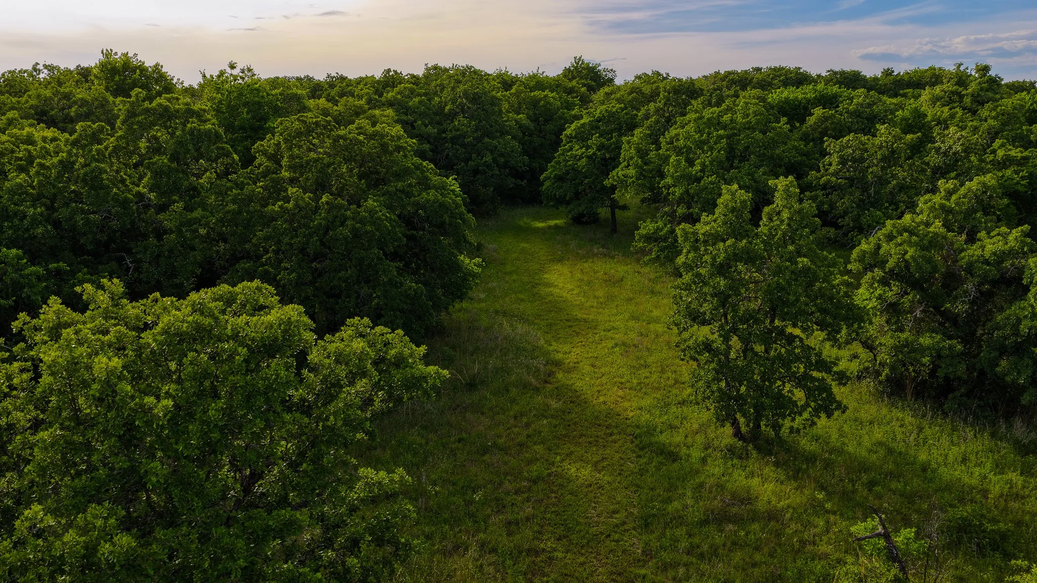 Ranch For Sale in Montague County , 3641 Carpenter Road, Nocona, Texas 76255, 0, 0, Garage spaces, 0 Sqft, built in 2008, Price $749,000, mls#21289257, Real Estate Agent in Nocona, Homes For Sale in Montague county, Homes For Sale in Nocona, Realtor in Nocona Texas, Real Estate Brokerage Independent Realty Texas, Luminita Cordes Realtor