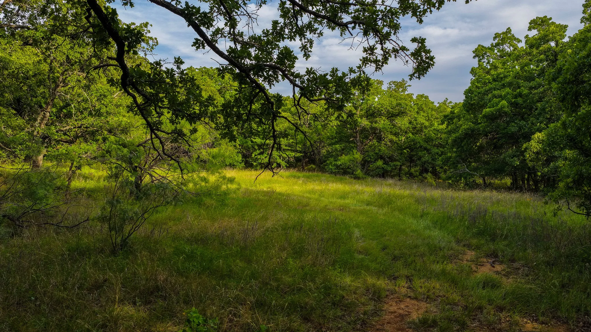 Ranch For Sale in Montague County , 3641 Carpenter Road, Nocona, Texas 76255, 0, 0, Garage spaces, 0 Sqft, built in 2008, Price $749,000, mls#21289257, Real Estate Agent in Nocona, Homes For Sale in Montague county, Homes For Sale in Nocona, Realtor in Nocona Texas, Real Estate Brokerage Independent Realty Texas, Luminita Cordes Realtor