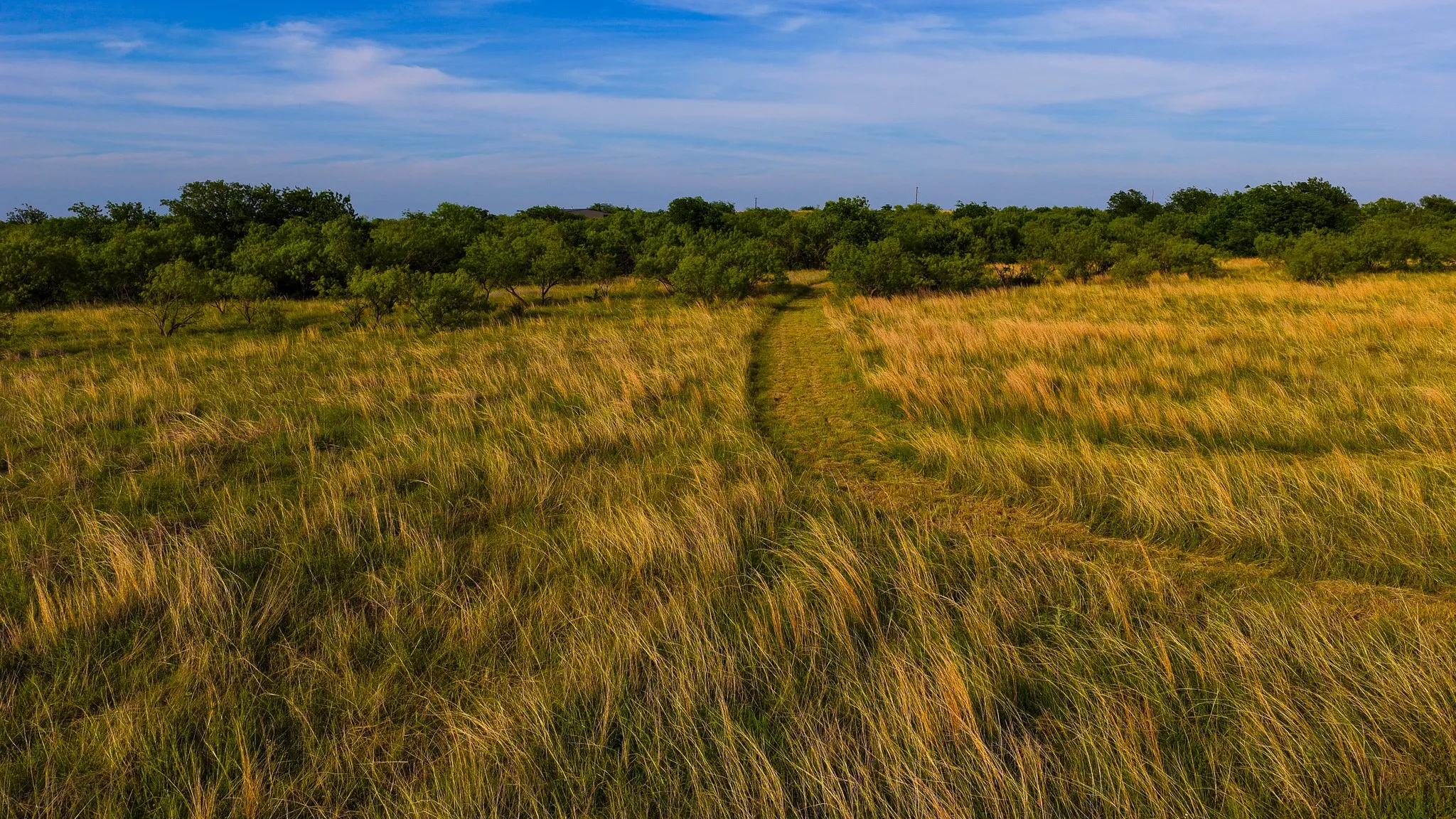 Ranch For Sale in Montague County , 3641 Carpenter Road, Nocona, Texas 76255, 0, 0, Garage spaces, 0 Sqft, built in 2008, Price $749,000, mls#21289257, Real Estate Agent in Nocona, Homes For Sale in Montague county, Homes For Sale in Nocona, Realtor in Nocona Texas, Real Estate Brokerage Independent Realty Texas, Luminita Cordes Realtor