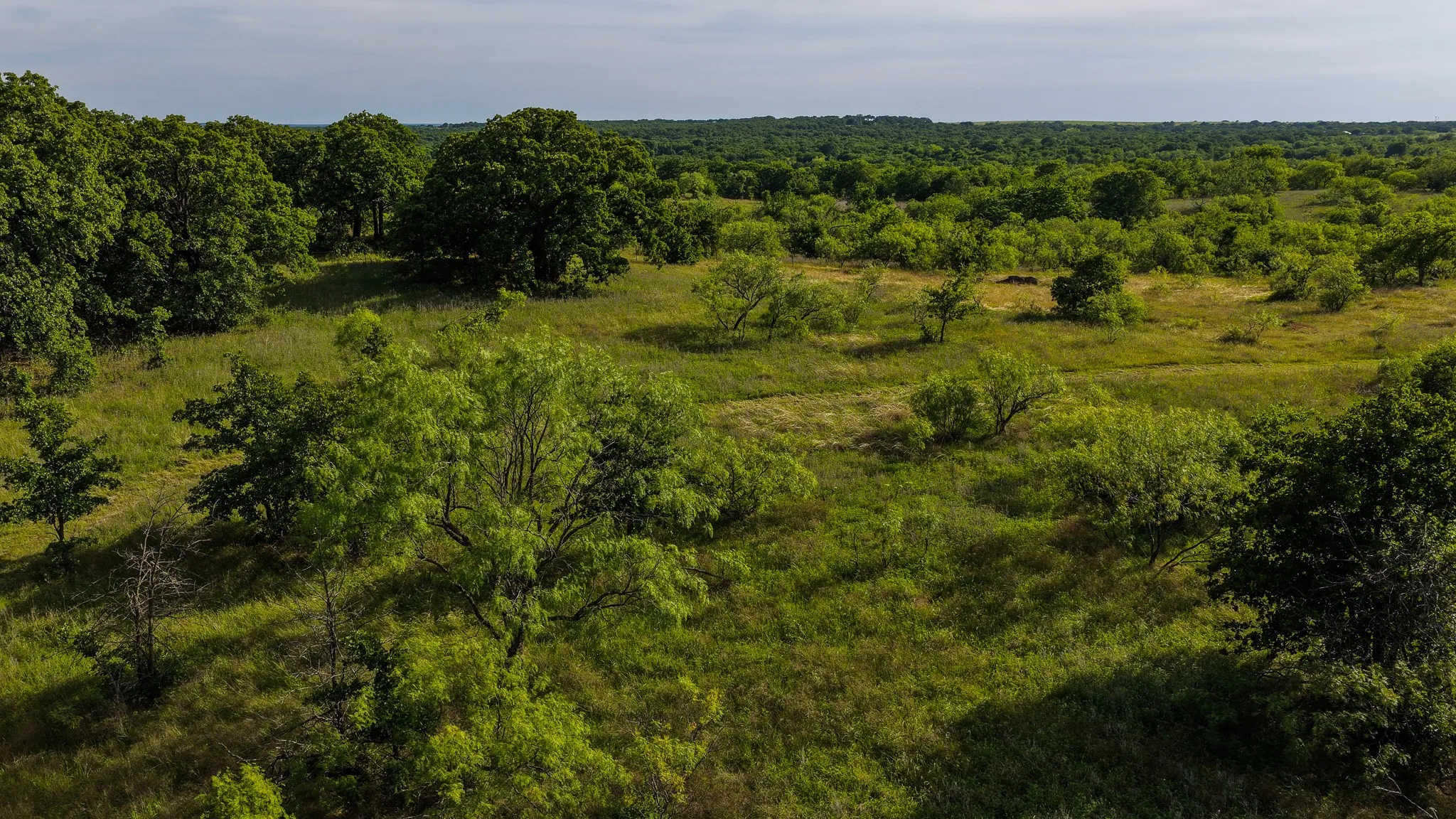 Ranch For Sale in Montague County , 3641 Carpenter Road, Nocona, Texas 76255, 0, 0, Garage spaces, 0 Sqft, built in 2008, Price $749,000, mls#21289257, Real Estate Agent in Nocona, Homes For Sale in Montague county, Homes For Sale in Nocona, Realtor in Nocona Texas, Real Estate Brokerage Independent Realty Texas, Luminita Cordes Realtor