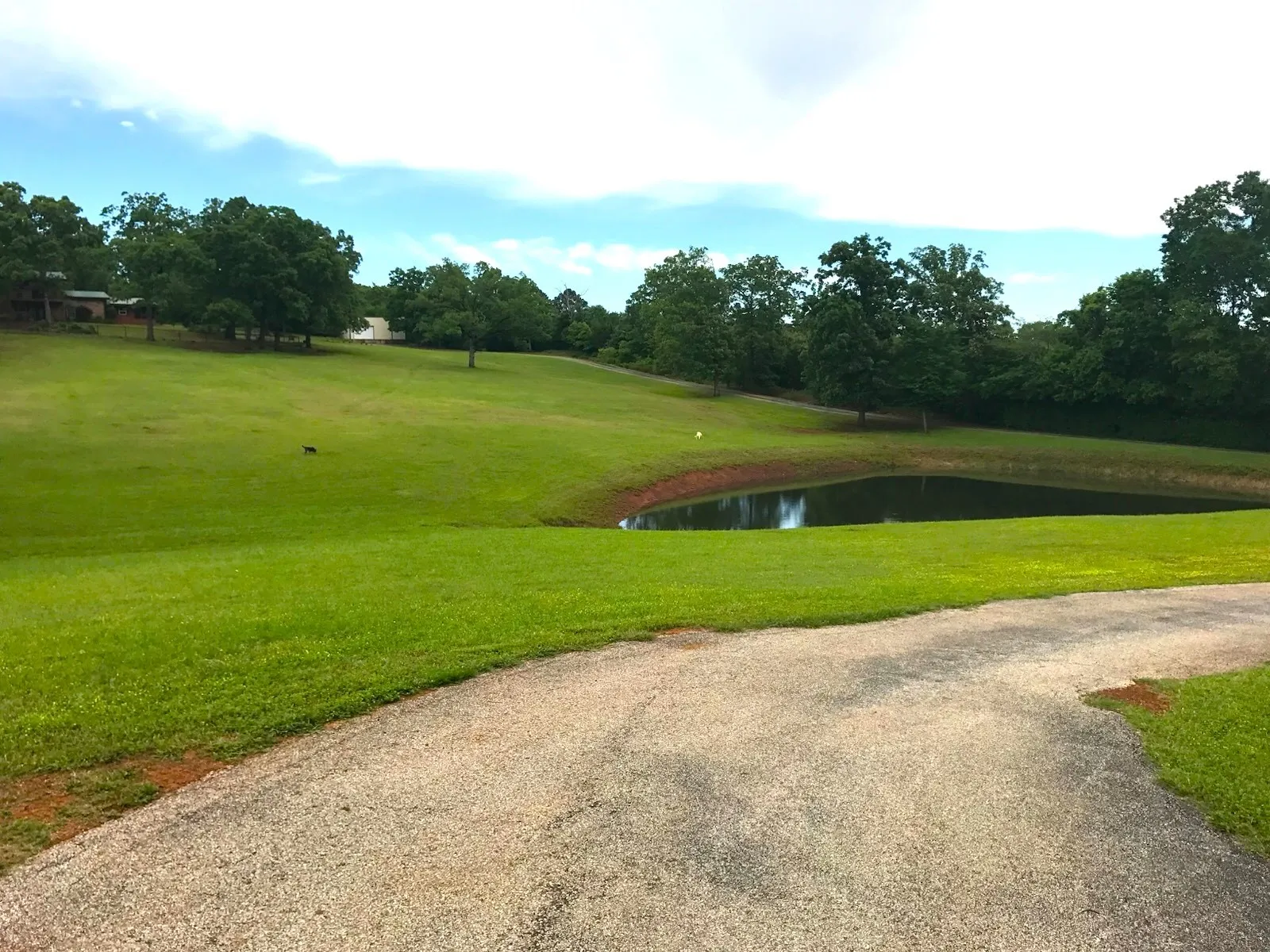 Single Family Residence For Sale in Van Zandt County , 440 VZ County Road 4814, Ben Wheeler, Texas 75754, 3 Bedroom, 3 Bathroom, Garage spaces, 2,008 Sqft, built in 1999, mls#21290868, Real Estate Agent in Ben Wheeler, Homes For Sale in Van Zandt county, Homes For Sale in Ben Wheeler, Realtor in Ben Wheeler Texas, Real Estate Brokerage Independent Realty Texas, Luminita Cordes Realtor