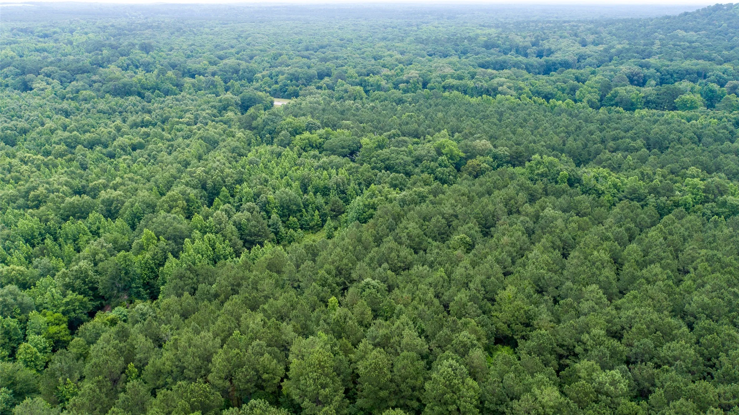 Improved Land For Sale in Camp County , TBD CR 4510, Pittsburg, Texas 75686, 0, 0, Garage spaces, 0 Sqft, built in 0, mls#21290827, Real Estate Agent in Pittsburg, Homes For Sale in Camp county, Homes For Sale in Pittsburg, Realtor in Pittsburg Texas, Real Estate Brokerage Independent Realty Texas, Luminita Cordes Realtor