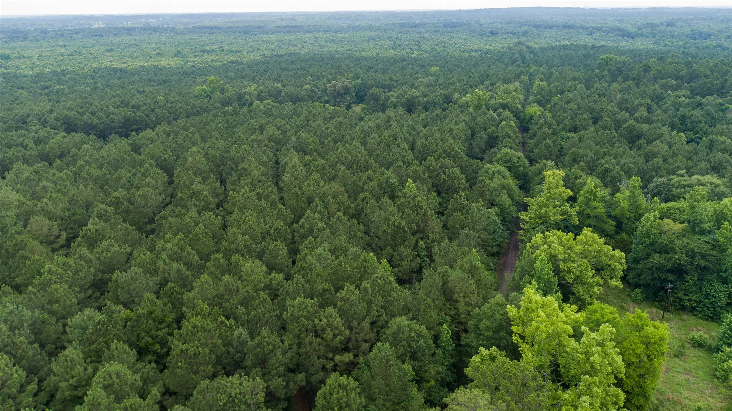 Improved Land For Sale in Camp County , TBD CR 4510, Pittsburg, Texas 75686, 0, 0, Garage spaces, 0 Sqft, built in 0, mls#21290827, Real Estate Agent in Pittsburg, Homes For Sale in Camp county, Homes For Sale in Pittsburg, Realtor in Pittsburg Texas, Real Estate Brokerage Independent Realty Texas, Luminita Cordes Realtor