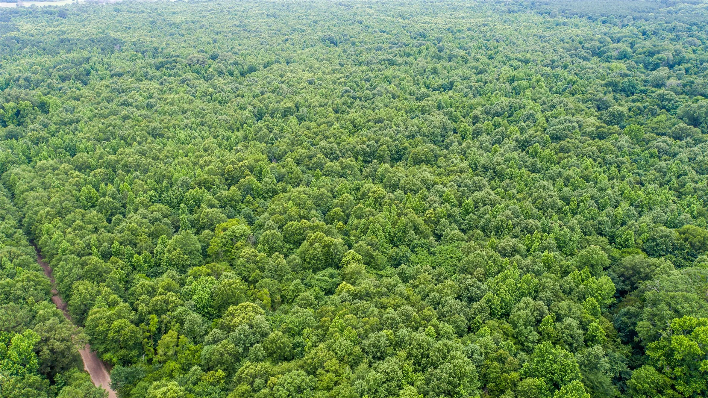 Improved Land For Sale in Camp County , TBD CR 4510, Pittsburg, Texas 75686, 0, 0, Garage spaces, 0 Sqft, built in 0, mls#21290827, Real Estate Agent in Pittsburg, Homes For Sale in Camp county, Homes For Sale in Pittsburg, Realtor in Pittsburg Texas, Real Estate Brokerage Independent Realty Texas, Luminita Cordes Realtor