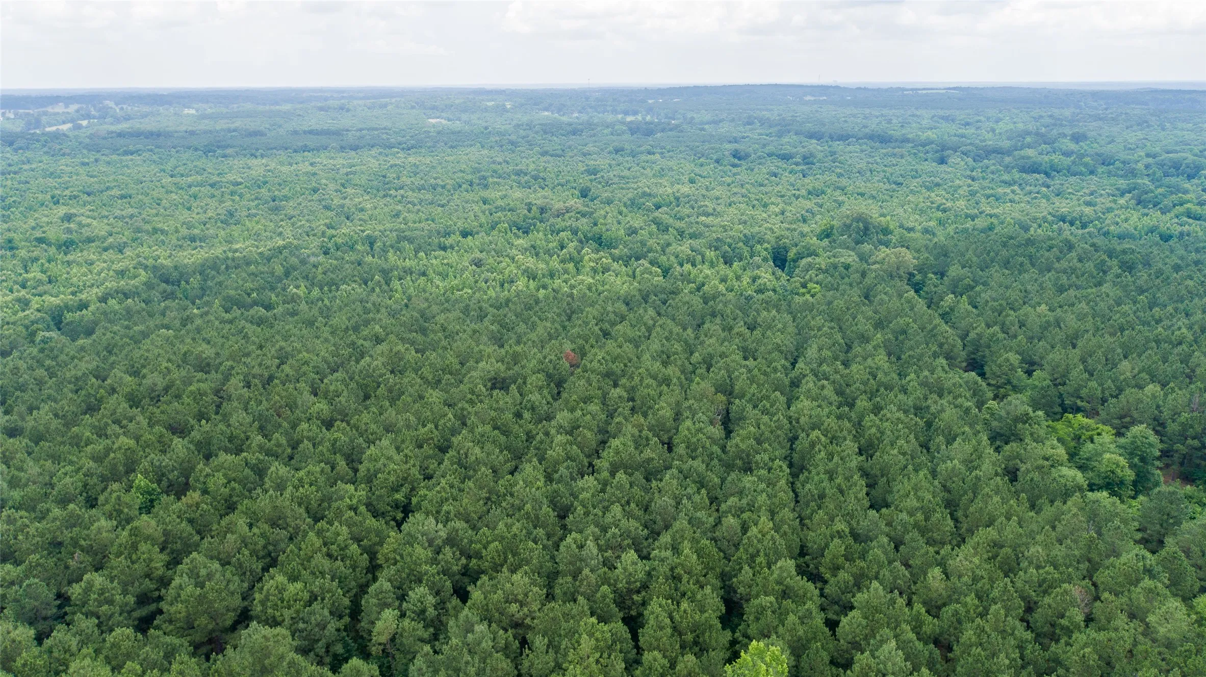 Improved Land For Sale in Camp County , TBD CR 4510, Pittsburg, Texas 75686, 0, 0, Garage spaces, 0 Sqft, built in 0, mls#21290827, Real Estate Agent in Pittsburg, Homes For Sale in Camp county, Homes For Sale in Pittsburg, Realtor in Pittsburg Texas, Real Estate Brokerage Independent Realty Texas, Luminita Cordes Realtor