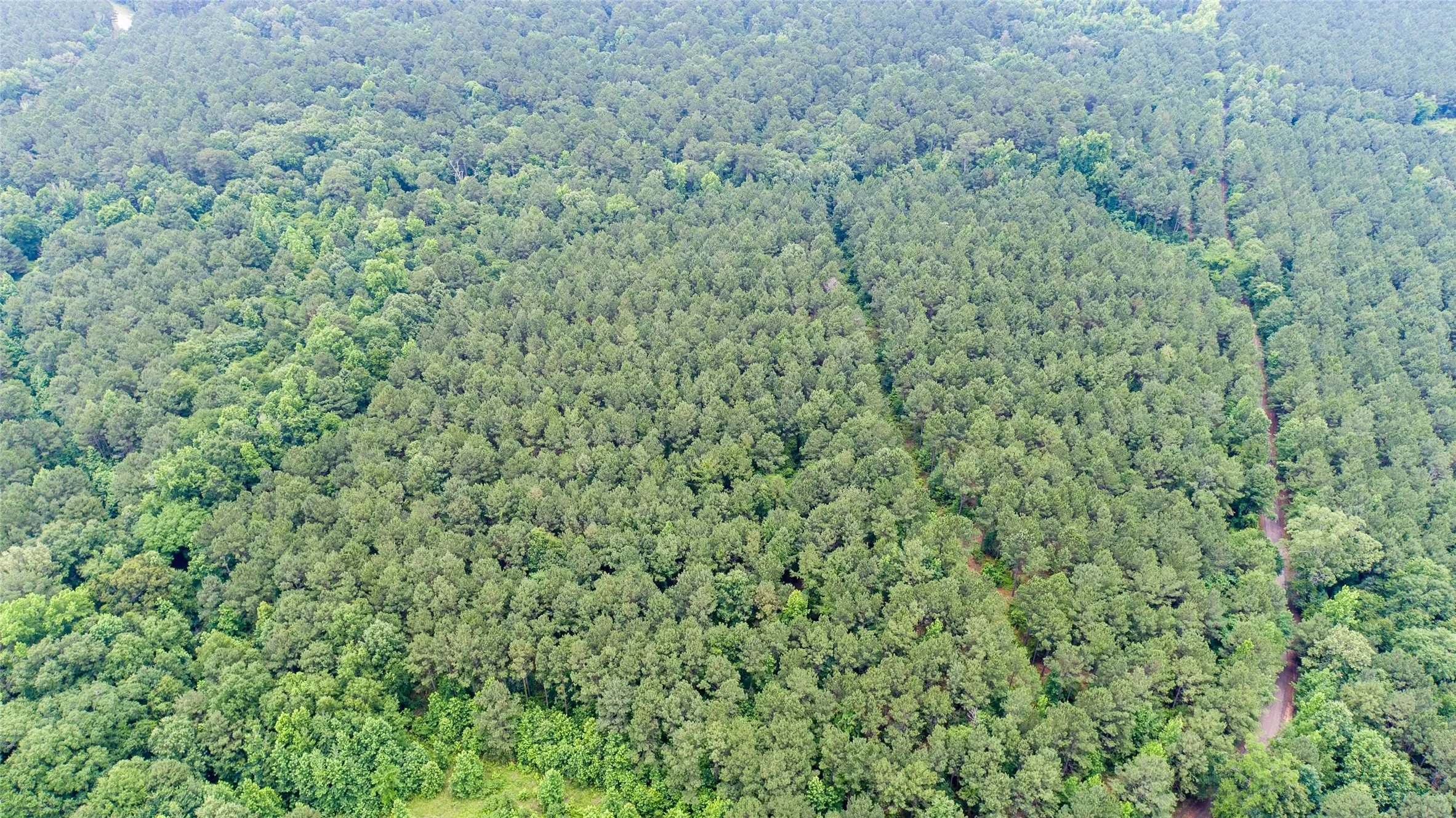 Improved Land For Sale in Camp County , TBD CR 4510, Pittsburg, Texas 75686, 0, 0, Garage spaces, 0 Sqft, built in 0, mls#21290827, Real Estate Agent in Pittsburg, Homes For Sale in Camp county, Homes For Sale in Pittsburg, Realtor in Pittsburg Texas, Real Estate Brokerage Independent Realty Texas, Luminita Cordes Realtor