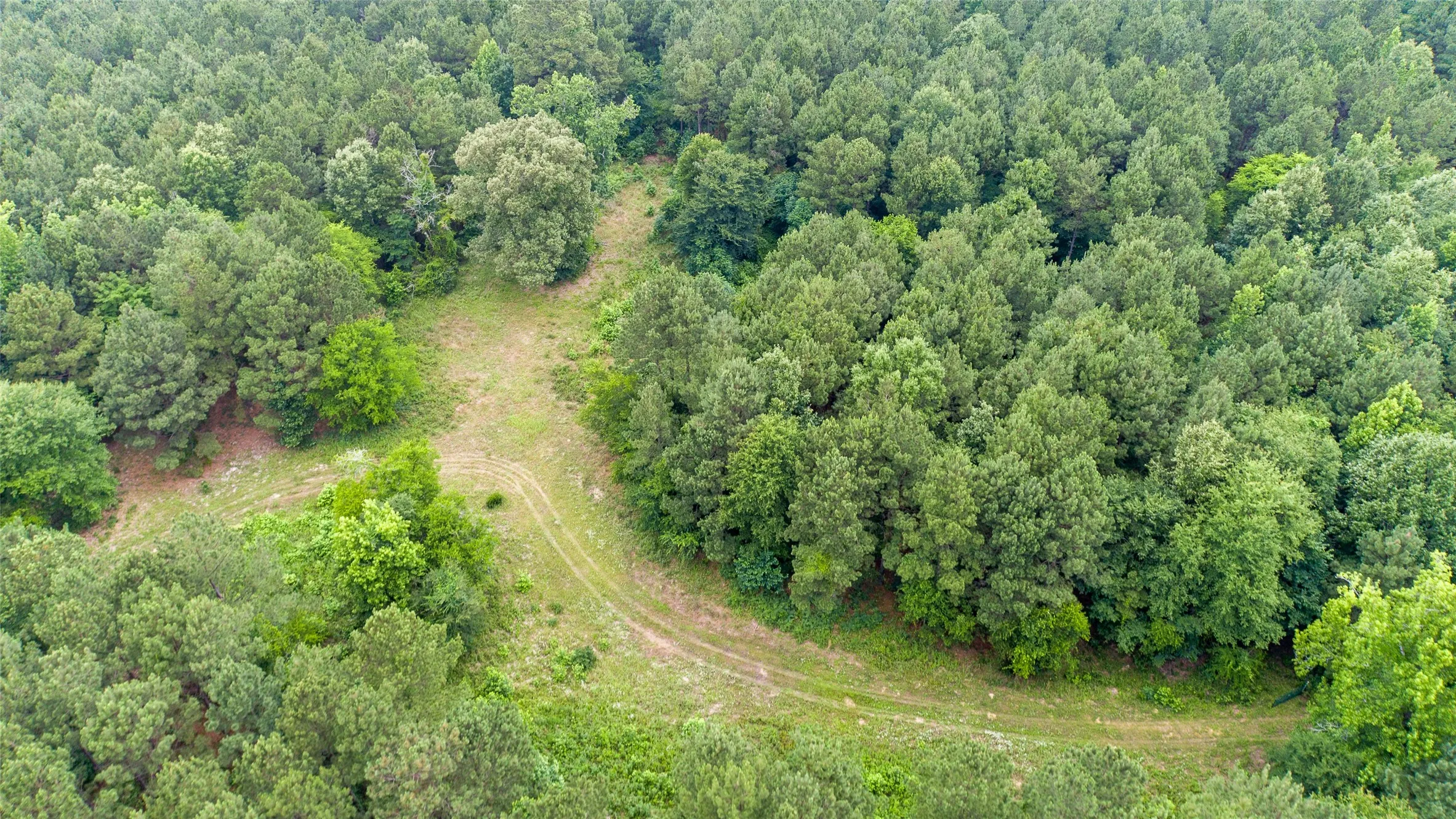 Improved Land For Sale in Camp County , TBD CR 4510, Pittsburg, Texas 75686, 0, 0, Garage spaces, 0 Sqft, built in 0, mls#21290827, Real Estate Agent in Pittsburg, Homes For Sale in Camp county, Homes For Sale in Pittsburg, Realtor in Pittsburg Texas, Real Estate Brokerage Independent Realty Texas, Luminita Cordes Realtor