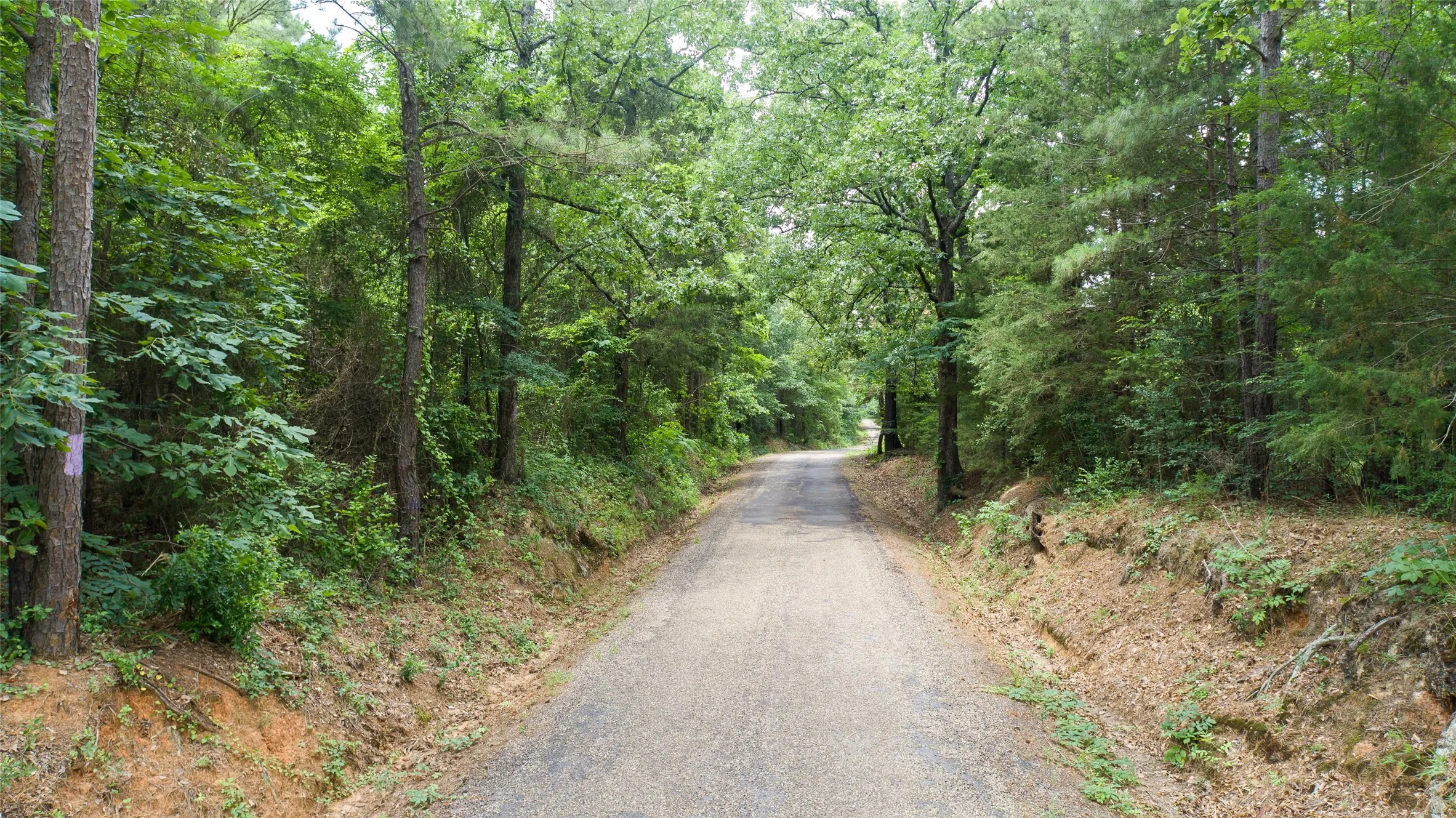 Improved Land For Sale in Camp County , TBD CR 4510, Pittsburg, Texas 75686, 0, 0, Garage spaces, 0 Sqft, built in 0, mls#21290827, Real Estate Agent in Pittsburg, Homes For Sale in Camp county, Homes For Sale in Pittsburg, Realtor in Pittsburg Texas, Real Estate Brokerage Independent Realty Texas, Luminita Cordes Realtor