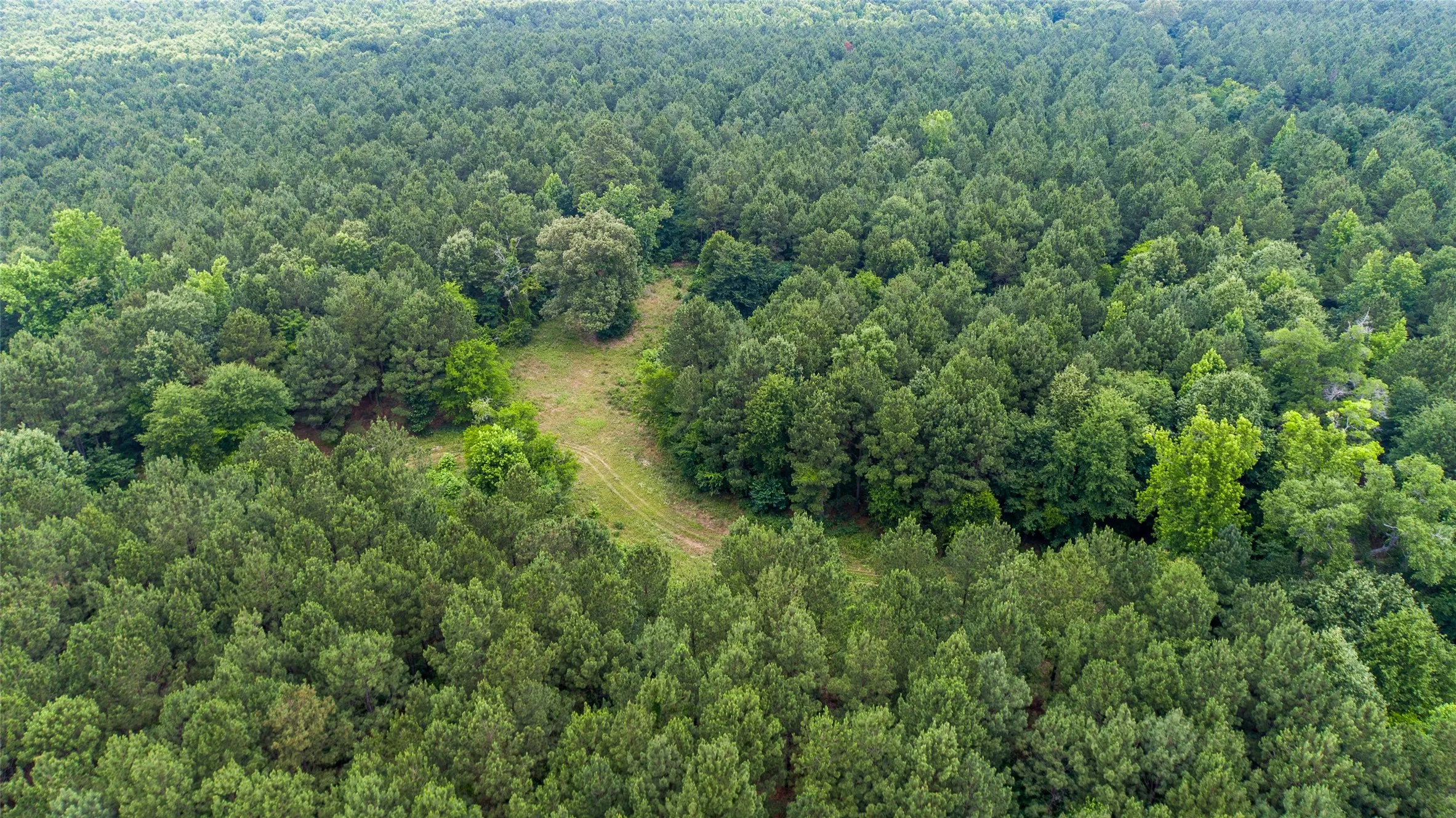 Improved Land For Sale in Camp County , TBD CR 4510, Pittsburg, Texas 75686, 0, 0, Garage spaces, 0 Sqft, built in 0, mls#21290827, Real Estate Agent in Pittsburg, Homes For Sale in Camp county, Homes For Sale in Pittsburg, Realtor in Pittsburg Texas, Real Estate Brokerage Independent Realty Texas, Luminita Cordes Realtor