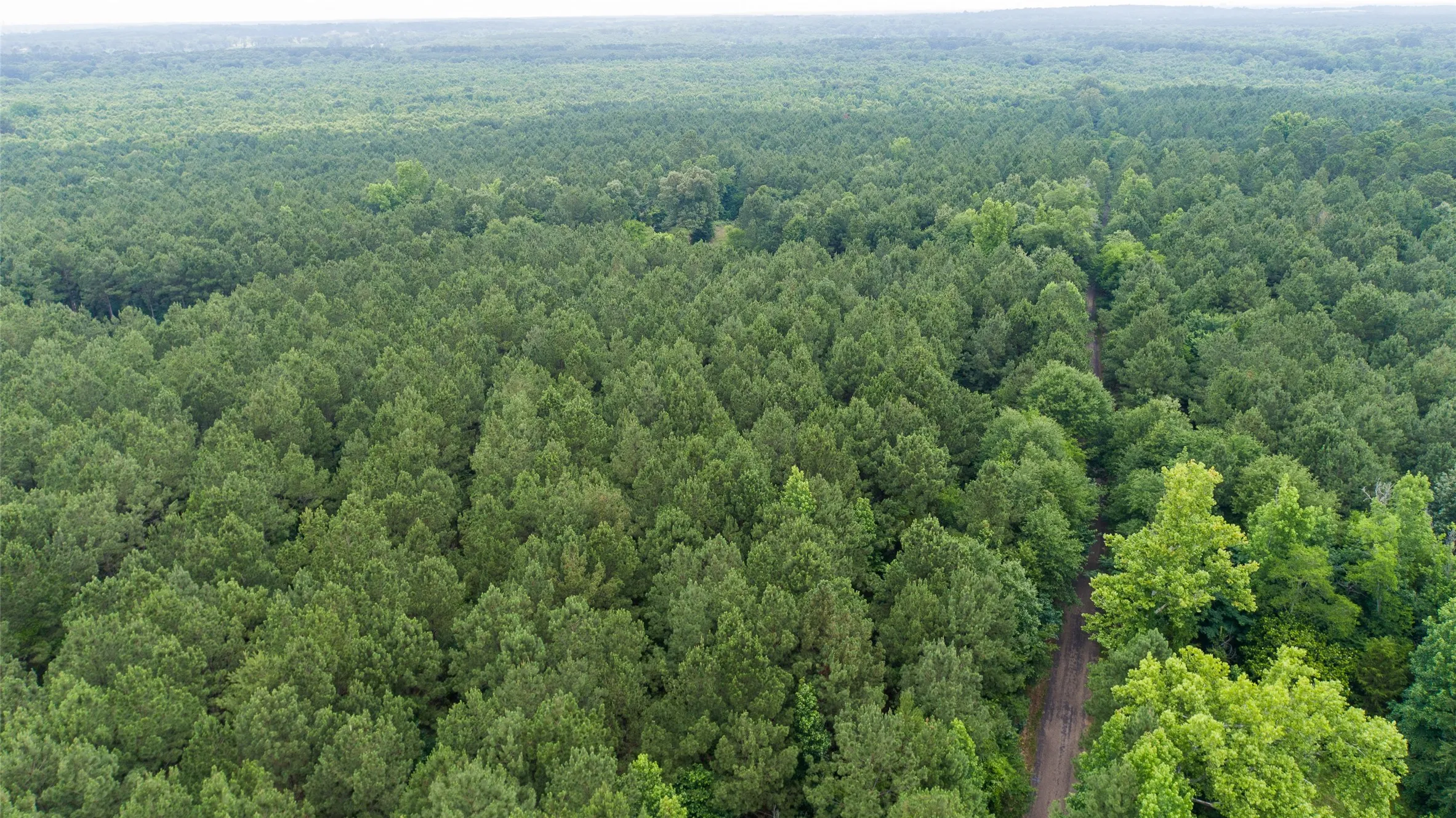 Improved Land For Sale in Camp County , TBD CR 4510, Pittsburg, Texas 75686, 0, 0, Garage spaces, 0 Sqft, built in 0, mls#21290827, Real Estate Agent in Pittsburg, Homes For Sale in Camp county, Homes For Sale in Pittsburg, Realtor in Pittsburg Texas, Real Estate Brokerage Independent Realty Texas, Luminita Cordes Realtor
