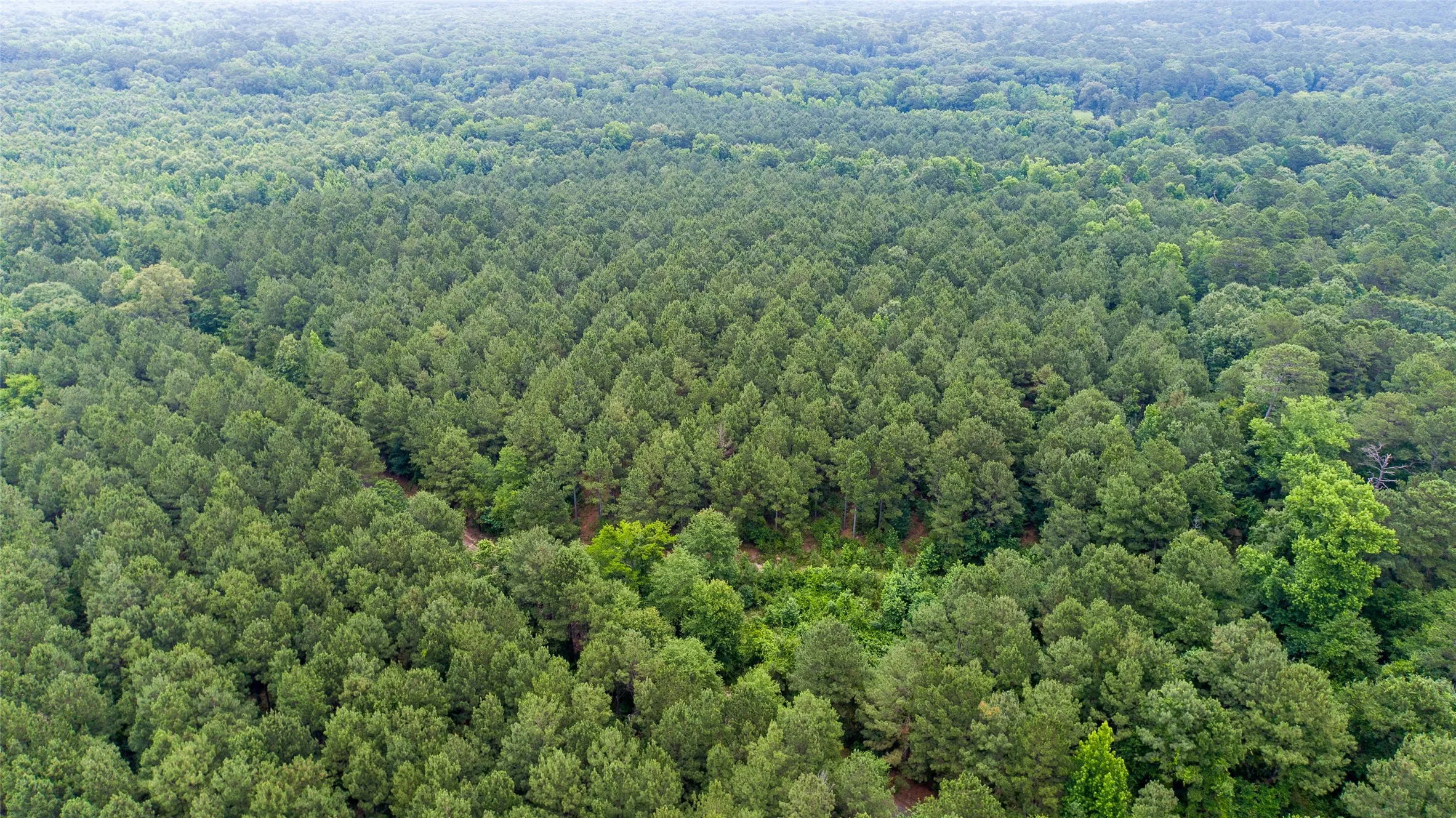 Improved Land For Sale in Camp County , TBD CR 4510, Pittsburg, Texas 75686, 0, 0, Garage spaces, 0 Sqft, built in 0, mls#21290827, Real Estate Agent in Pittsburg, Homes For Sale in Camp county, Homes For Sale in Pittsburg, Realtor in Pittsburg Texas, Real Estate Brokerage Independent Realty Texas, Luminita Cordes Realtor