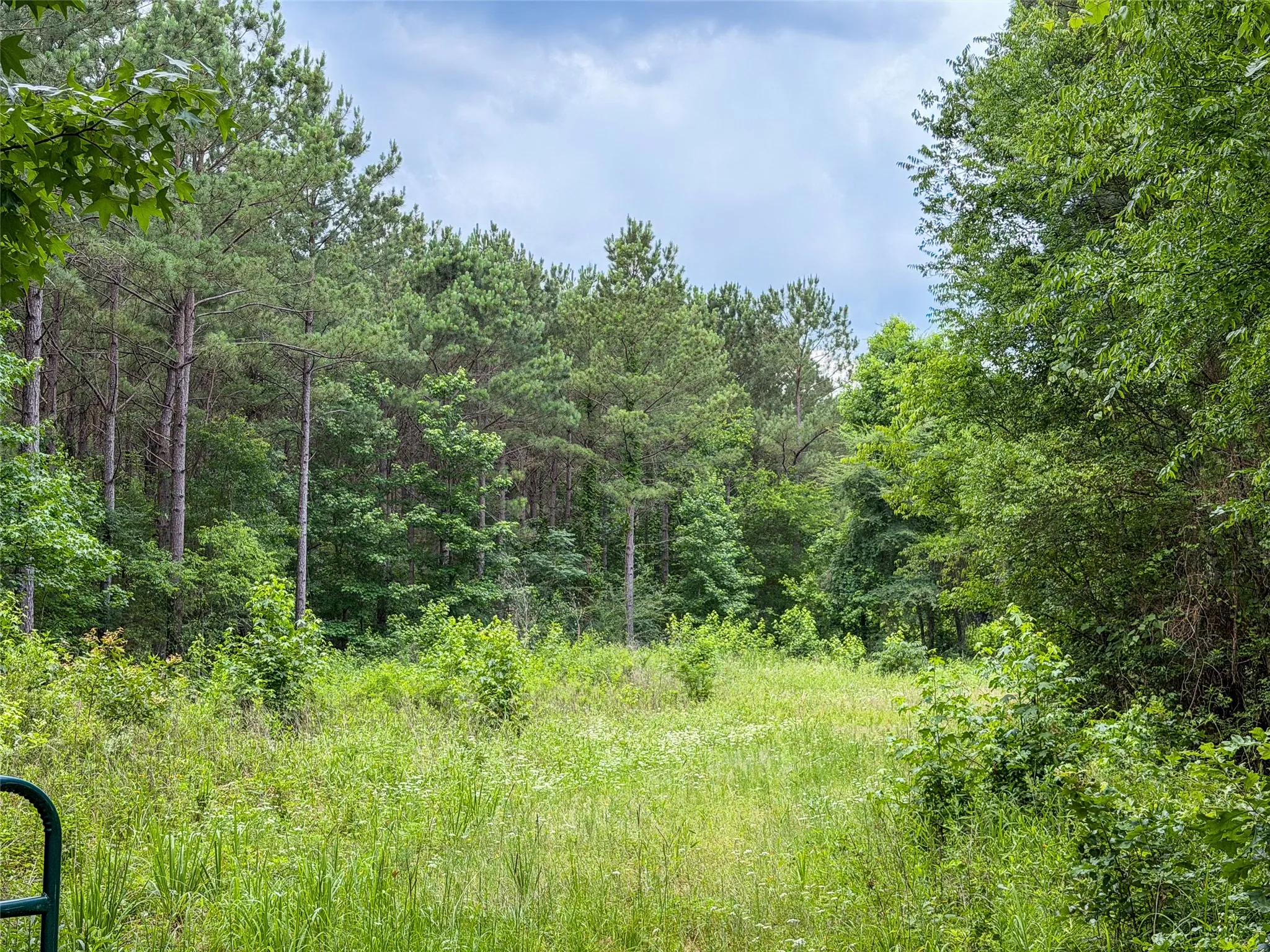 Improved Land For Sale in Camp County , TBD CR 4510, Pittsburg, Texas 75686, 0, 0, Garage spaces, 0 Sqft, built in 0, mls#21290827, Real Estate Agent in Pittsburg, Homes For Sale in Camp county, Homes For Sale in Pittsburg, Realtor in Pittsburg Texas, Real Estate Brokerage Independent Realty Texas, Luminita Cordes Realtor