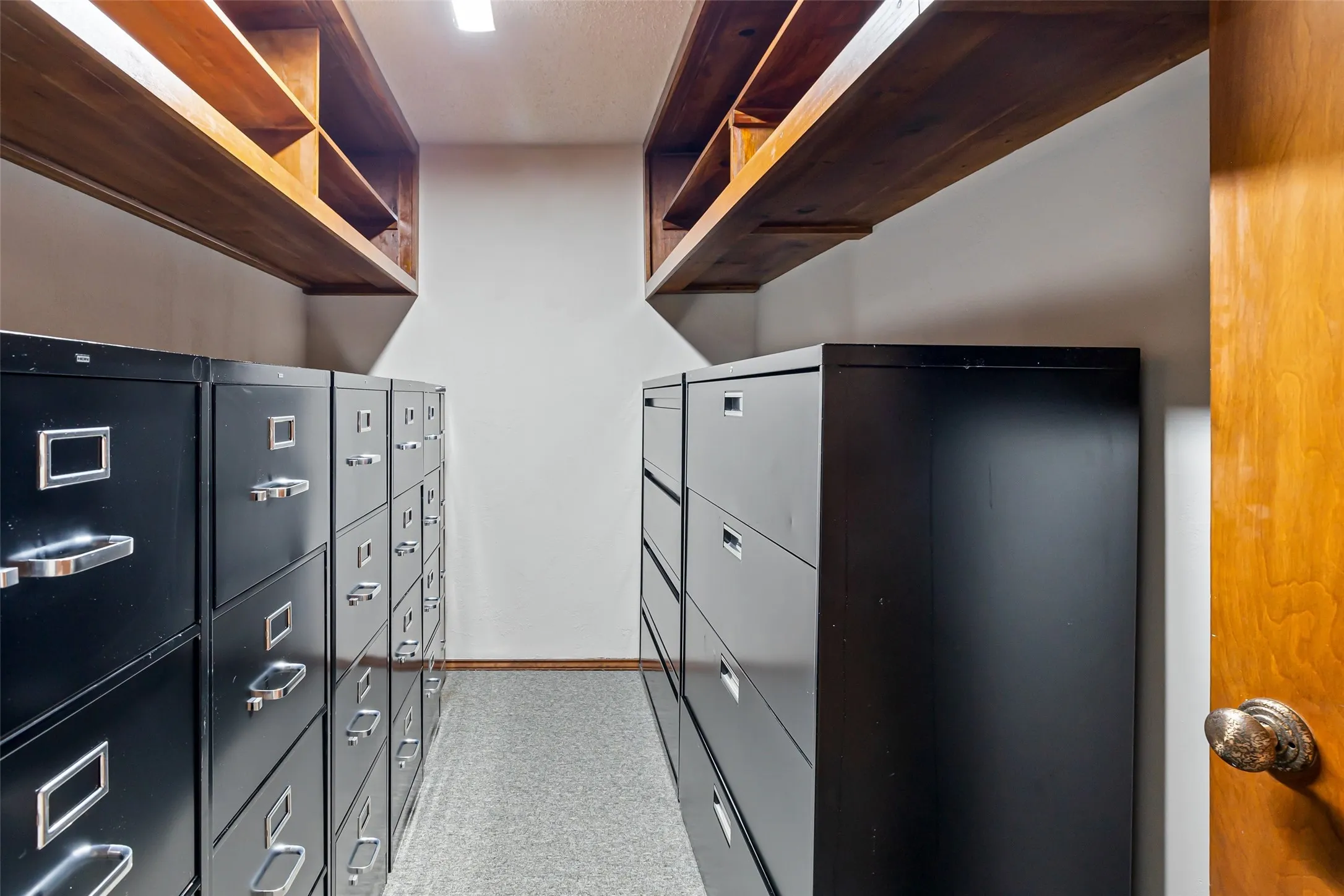 Dedicated storage room featuring wood-finish shelving and carpet flooring
