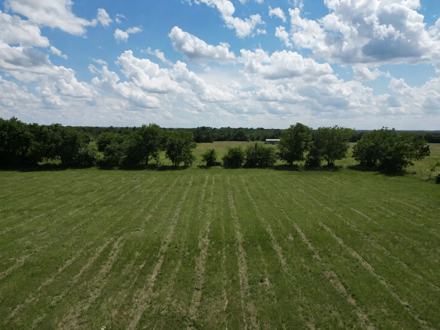 Improved Land For Sale in Grayson County , 9999 Dugan Chapel Road, Bells, Texas 75414, 0, 0, Garage spaces, 0 Sqft, built in 0, mls#21287669, Real Estate Agent in Bells, Homes For Sale in Grayson county, Homes For Sale in Bells, Realtor in Bells Texas, Real Estate Brokerage Independent Realty Texas, Luminita Cordes Realtor