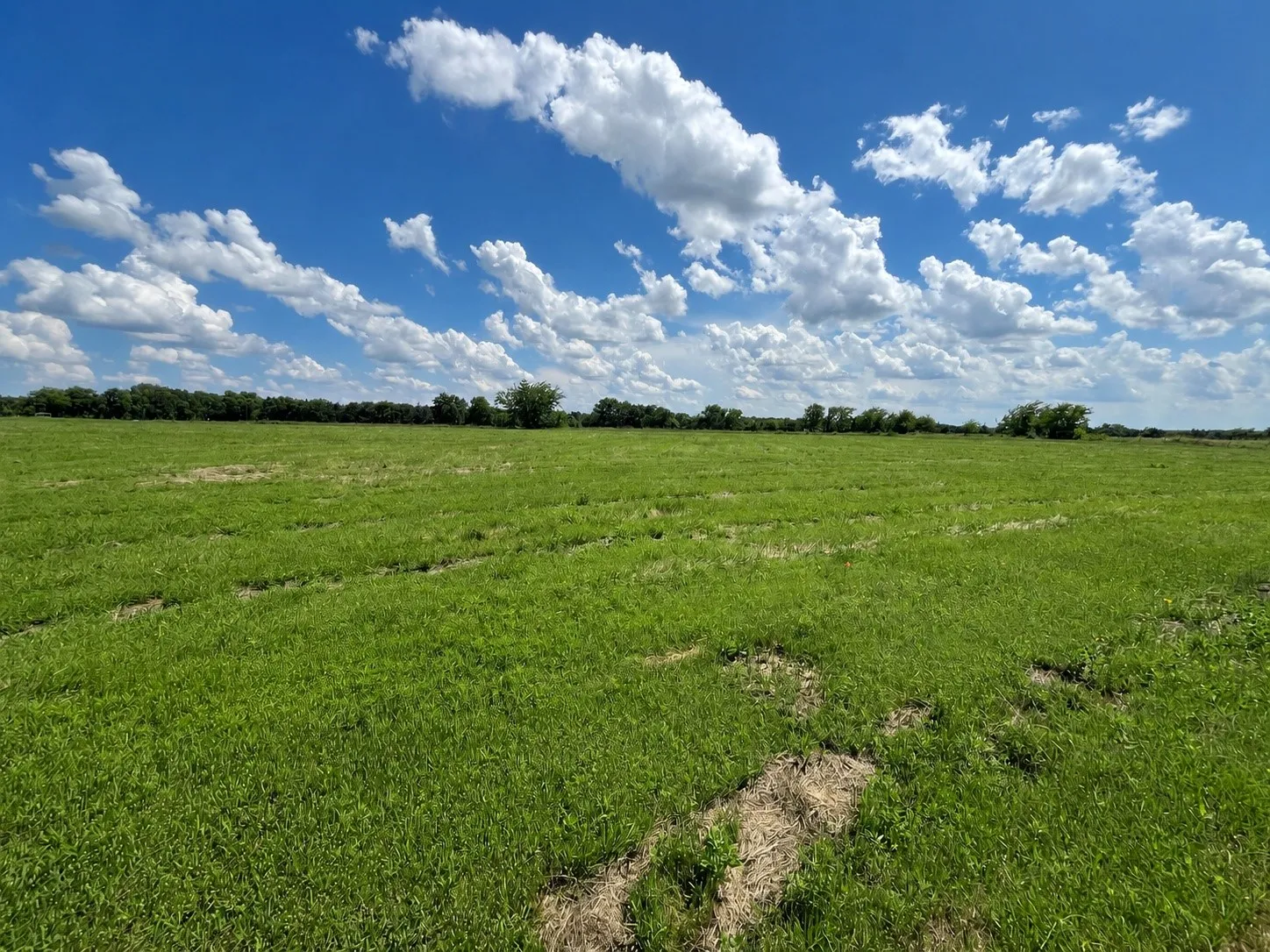 Improved Land For Sale in Grayson County , 9999 Dugan Chapel Road, Bells, Texas 75414, 0, 0, Garage spaces, 0 Sqft, built in 0, mls#21287669, Real Estate Agent in Bells, Homes For Sale in Grayson county, Homes For Sale in Bells, Realtor in Bells Texas, Real Estate Brokerage Independent Realty Texas, Luminita Cordes Realtor