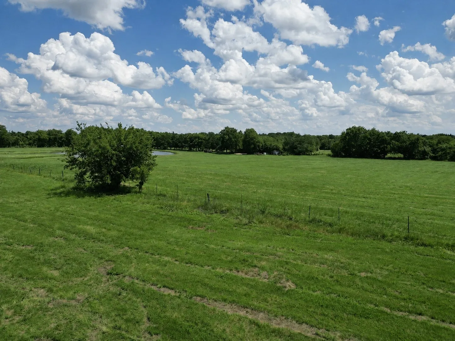 Improved Land For Sale in Grayson County , 9999 Dugan Chapel Road, Bells, Texas 75414, 0, 0, Garage spaces, 0 Sqft, built in 0, mls#21287669, Real Estate Agent in Bells, Homes For Sale in Grayson county, Homes For Sale in Bells, Realtor in Bells Texas, Real Estate Brokerage Independent Realty Texas, Luminita Cordes Realtor