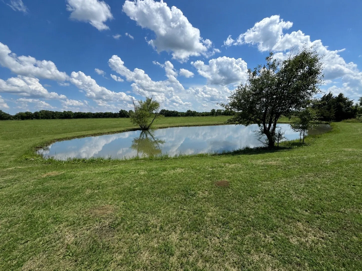 Improved Land For Sale in Grayson County , 9999 Dugan Chapel Road, Bells, Texas 75414, 0, 0, Garage spaces, 0 Sqft, built in 0, mls#21287669, Real Estate Agent in Bells, Homes For Sale in Grayson county, Homes For Sale in Bells, Realtor in Bells Texas, Real Estate Brokerage Independent Realty Texas, Luminita Cordes Realtor