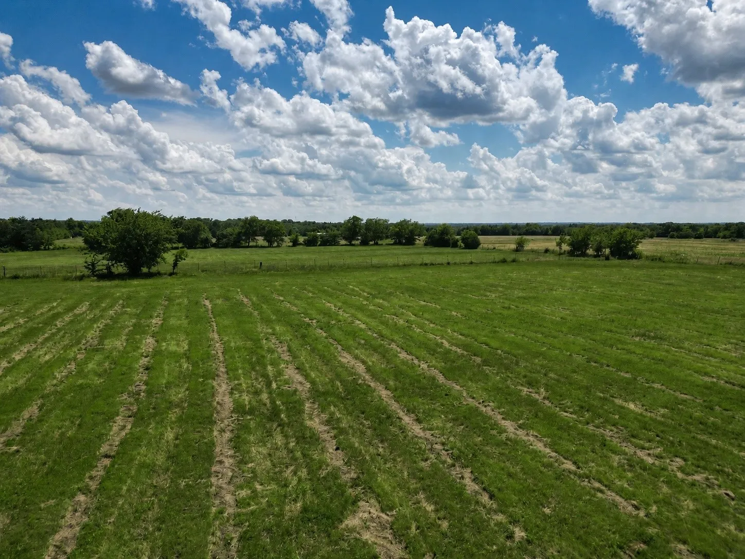 Improved Land For Sale in Grayson County , 9999 Dugan Chapel Road, Bells, Texas 75414, 0, 0, Garage spaces, 0 Sqft, built in 0, mls#21287669, Real Estate Agent in Bells, Homes For Sale in Grayson county, Homes For Sale in Bells, Realtor in Bells Texas, Real Estate Brokerage Independent Realty Texas, Luminita Cordes Realtor