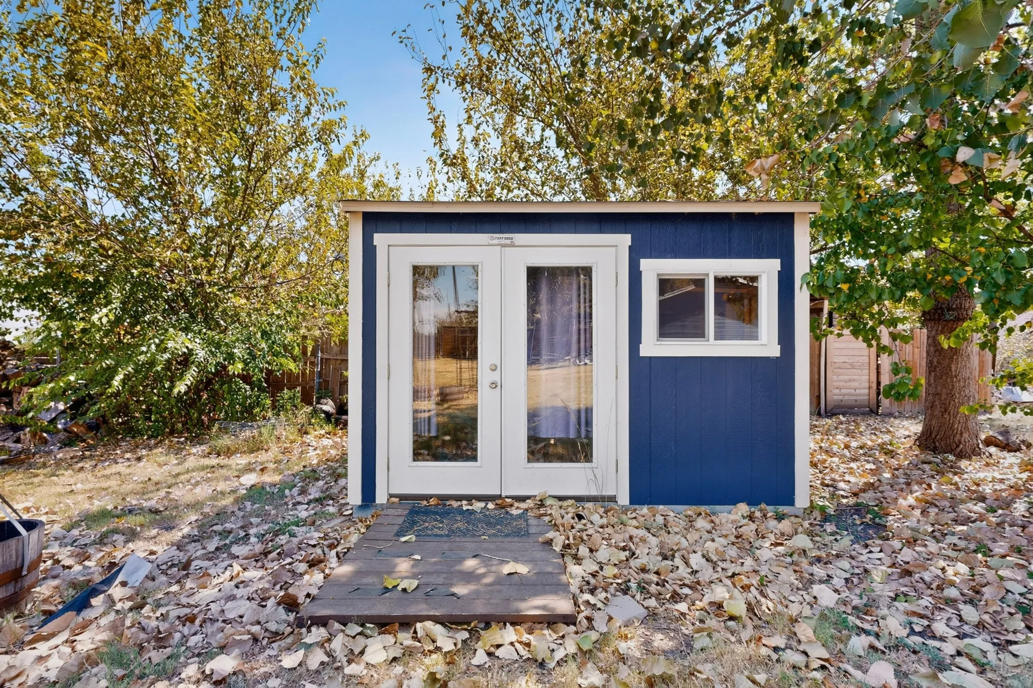 Modern studio structure featuring a striking two-tone exterior with navy blue and white paneling, dual glass-panel doors with white frames, and a single awning window