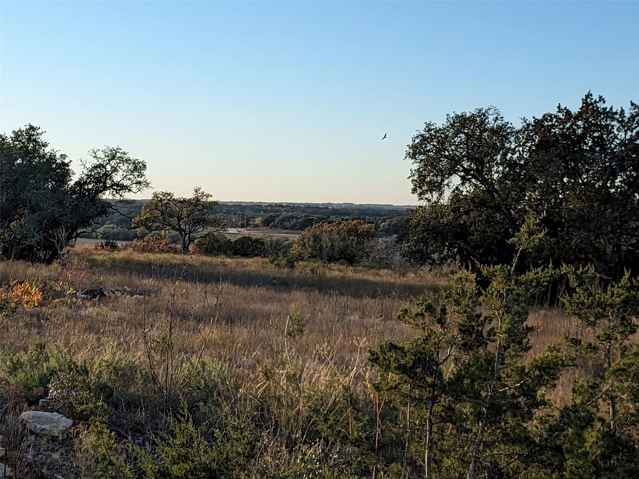 Unimproved Land For Sale in Hamilton County , 1314 CR 127, Carlton, Texas 76456, 0, 0, Garage spaces, 0 Sqft, built in 0, Price $104,000, mls#21287525, Real Estate Agent in Carlton, Homes For Sale in Hamilton county, Homes For Sale in Carlton, Realtor in Carlton Texas, Real Estate Brokerage Independent Realty Texas, Luminita Cordes Realtor