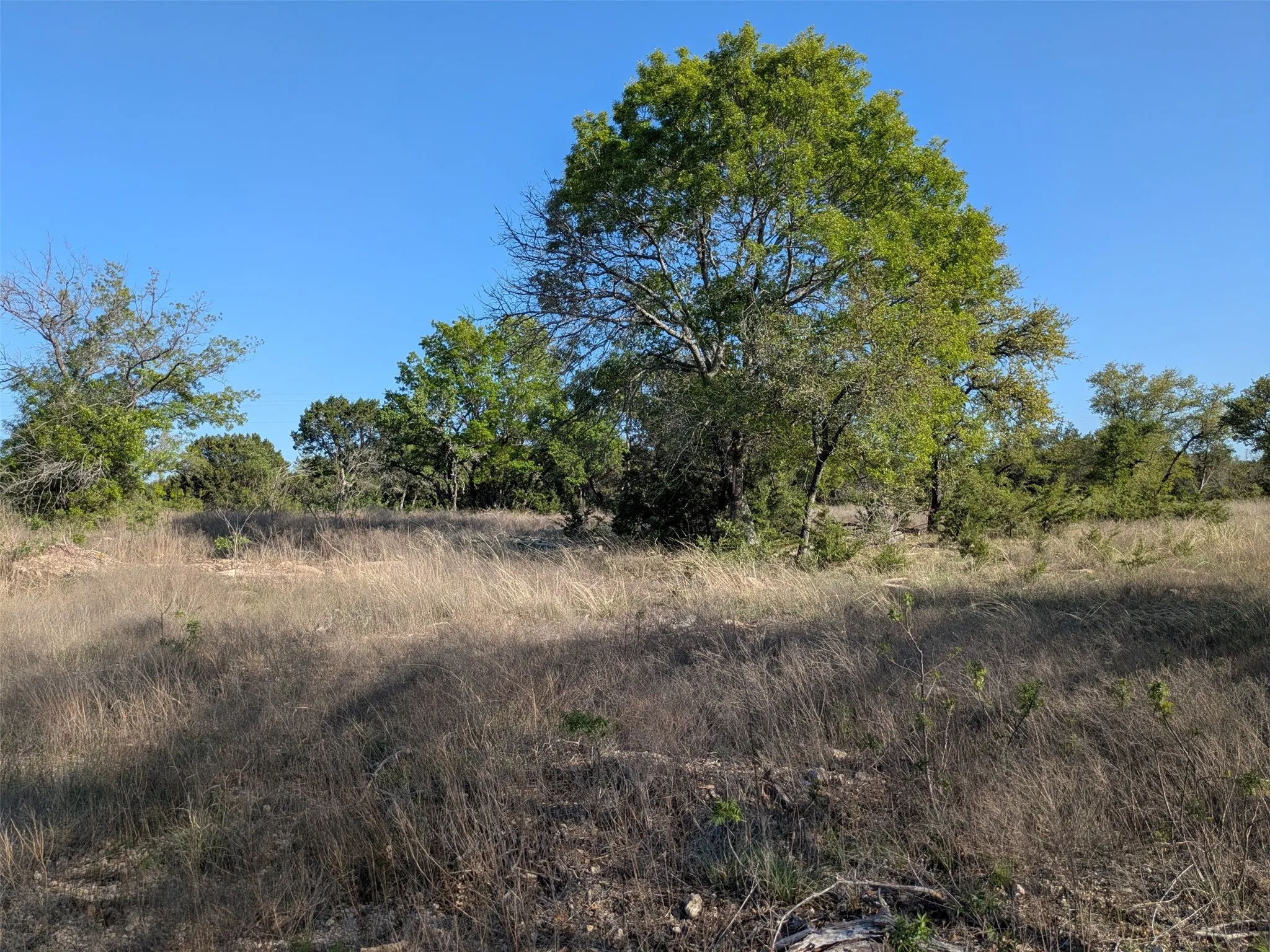 Unimproved Land For Sale in Hamilton County , 1314 CR 127, Carlton, Texas 76456, 0, 0, Garage spaces, 0 Sqft, built in 0, Price $104,000, mls#21287525, Real Estate Agent in Carlton, Homes For Sale in Hamilton county, Homes For Sale in Carlton, Realtor in Carlton Texas, Real Estate Brokerage Independent Realty Texas, Luminita Cordes Realtor