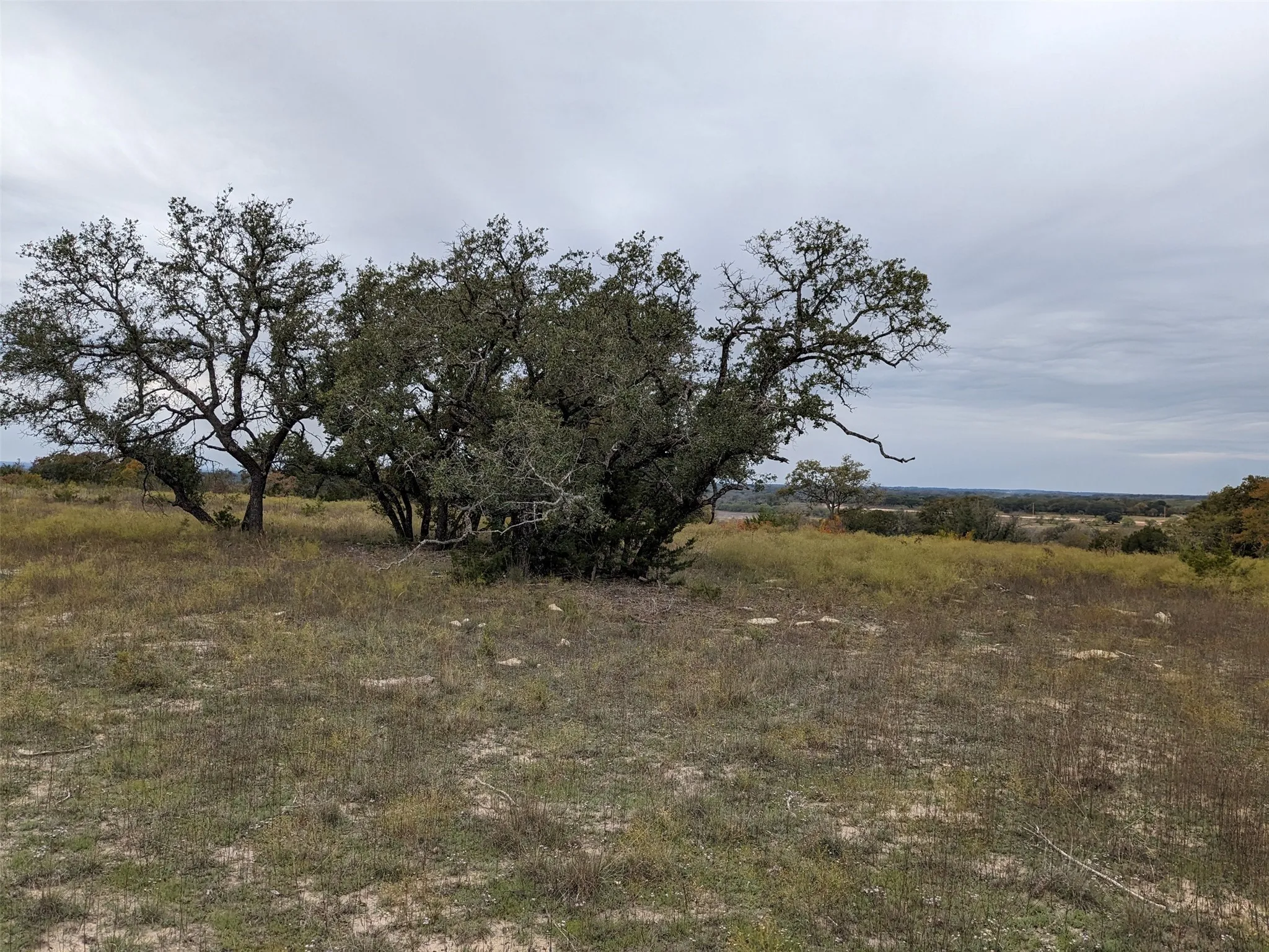 Unimproved Land For Sale in Hamilton County , 1314 CR 127, Carlton, Texas 76456, 0, 0, Garage spaces, 0 Sqft, built in 0, Price $104,000, mls#21287525, Real Estate Agent in Carlton, Homes For Sale in Hamilton county, Homes For Sale in Carlton, Realtor in Carlton Texas, Real Estate Brokerage Independent Realty Texas, Luminita Cordes Realtor