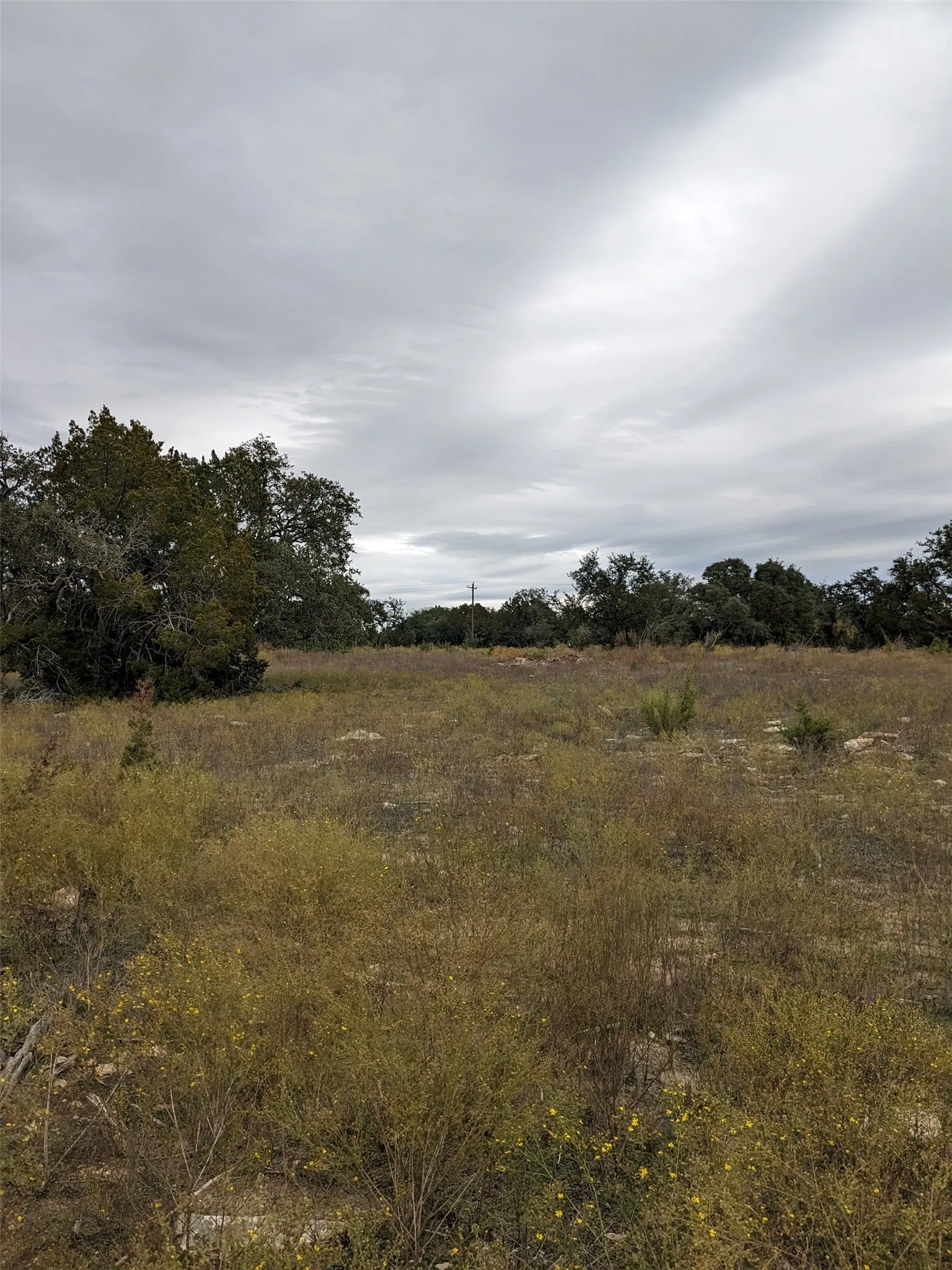 Unimproved Land For Sale in Hamilton County , 1314 CR 127, Carlton, Texas 76456, 0, 0, Garage spaces, 0 Sqft, built in 0, Price $104,000, mls#21287525, Real Estate Agent in Carlton, Homes For Sale in Hamilton county, Homes For Sale in Carlton, Realtor in Carlton Texas, Real Estate Brokerage Independent Realty Texas, Luminita Cordes Realtor