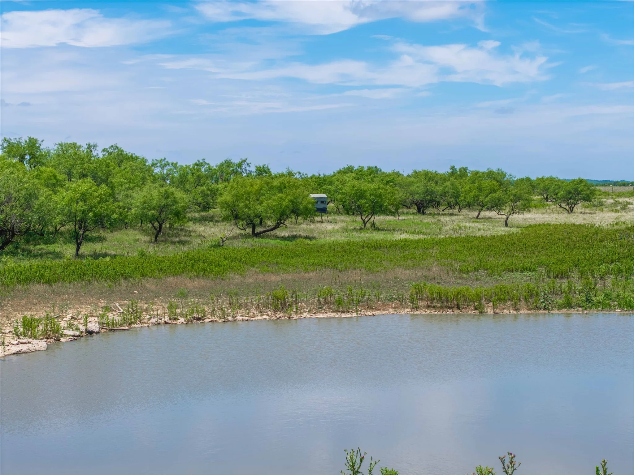 Ranch For Sale in Coleman County , 1797 FM 1026, Coleman, Texas 76834, 0, 0, Garage spaces, 0 Sqft, built in 0, Price $2,465,000, mls#21290946, Real Estate Agent in Coleman, Homes For Sale in Coleman county, Homes For Sale in Coleman, Realtor in Coleman Texas, Real Estate Brokerage Independent Realty Texas, Luminita Cordes Realtor