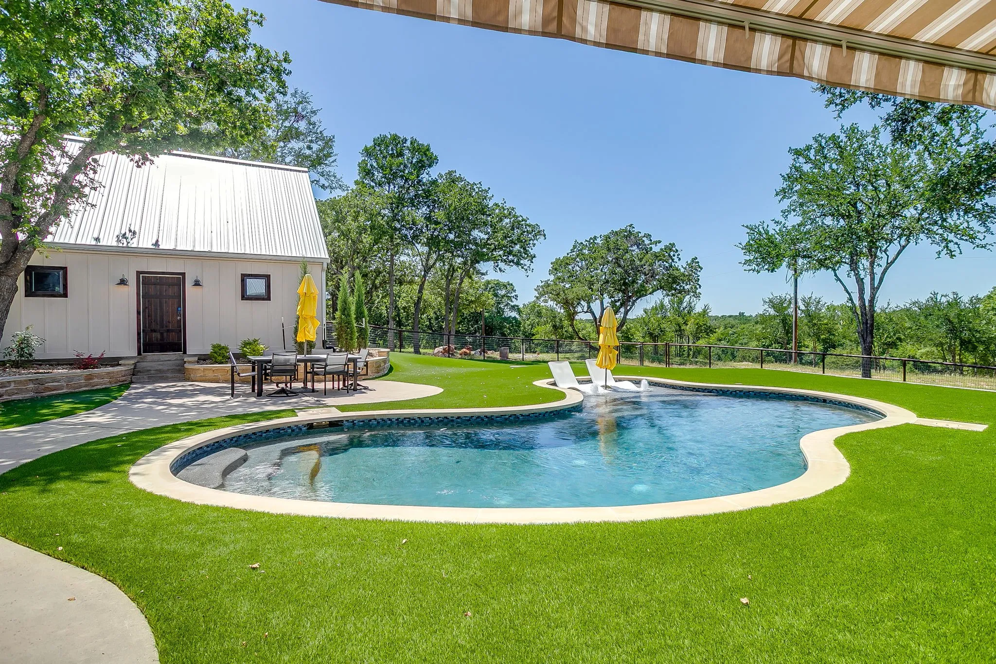 Astro Turf in the fenced back yard