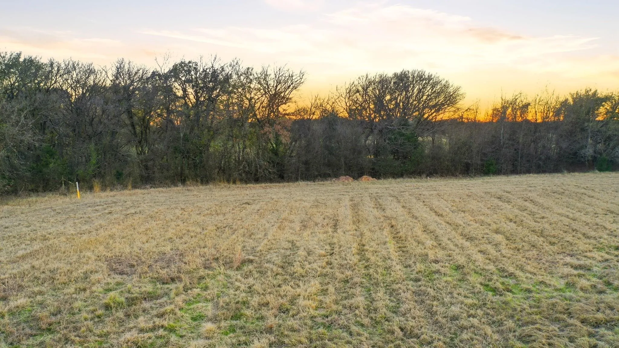 Unimproved Land For Sale in Johnson County , 1826 Fm 731, Burleson, Texas 76028, 0, 0, Garage spaces, 0 Sqft, built in 0, Price $480,000, mls#21290963, Real Estate Agent in Burleson, Homes For Sale in Johnson county, Homes For Sale in Burleson, Realtor in Burleson Texas, Real Estate Brokerage Independent Realty Texas, Luminita Cordes Realtor